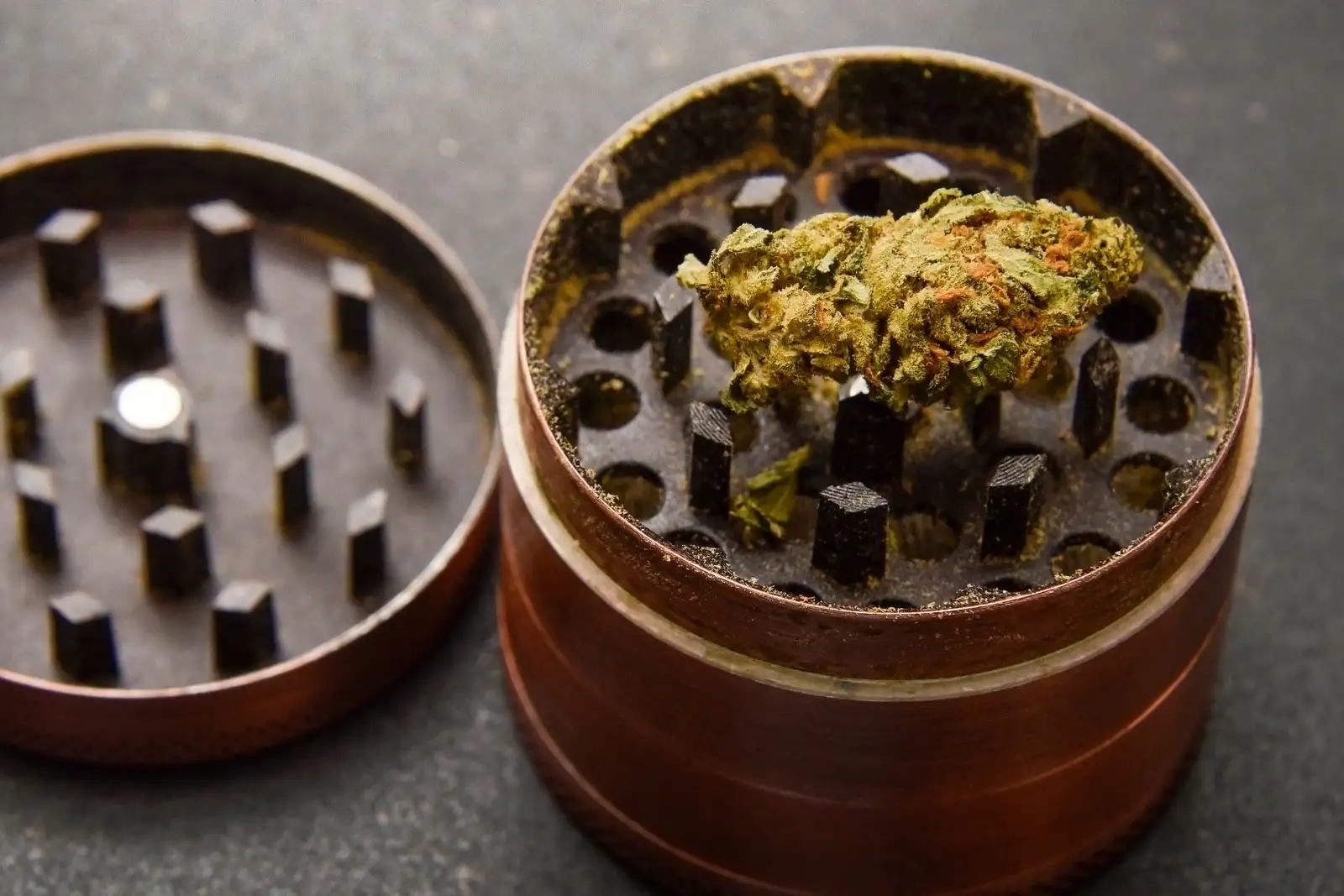 Open metal grinder with its teeth visible and a dried hemp bud resting in the grinding chamber