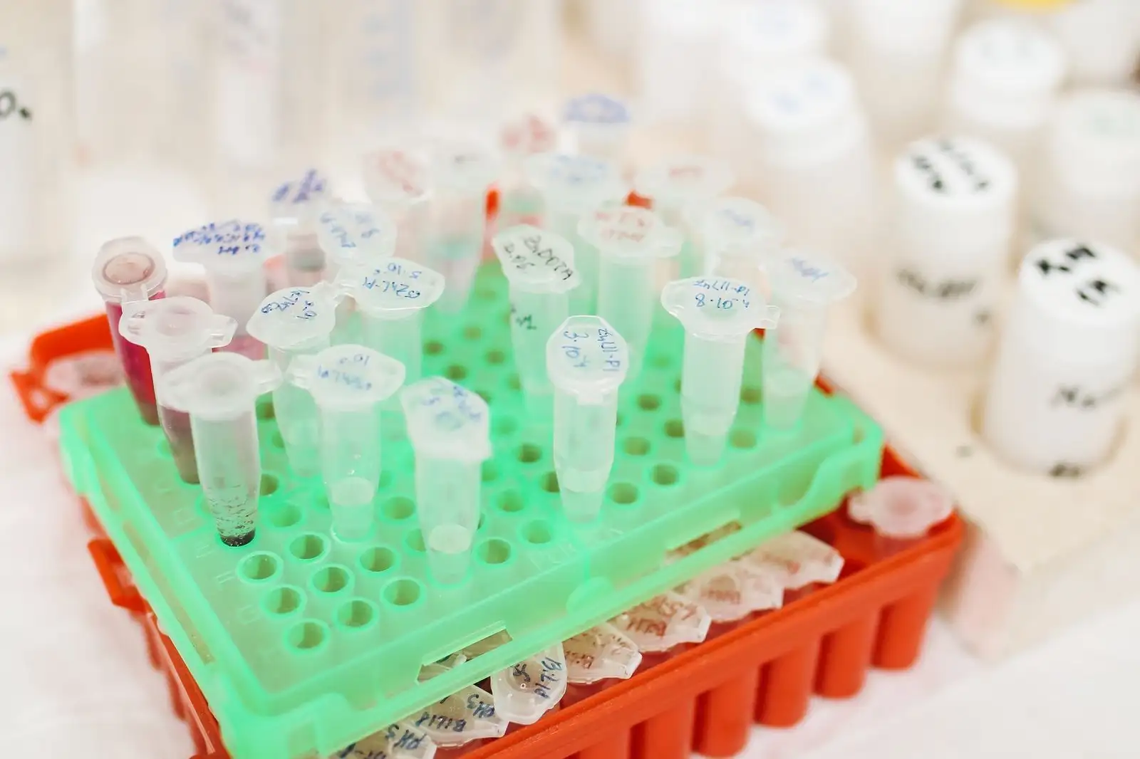 Hand-labelled sample tubes in a green rack on a laboratory bench