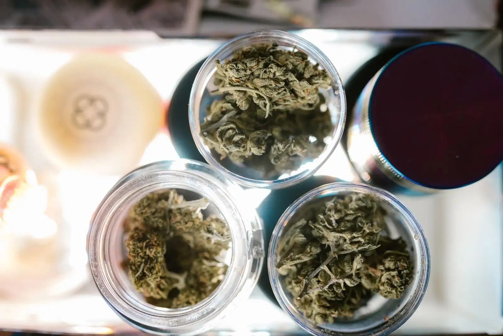 Dried hemp flowers in three open glass jars, seen from above