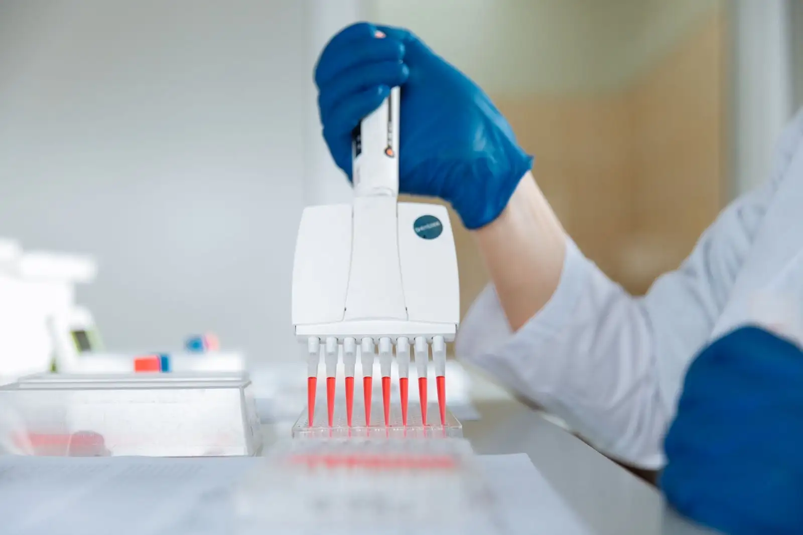 Gloved laboratory technician filling a sample plate with a multichannel pipette
