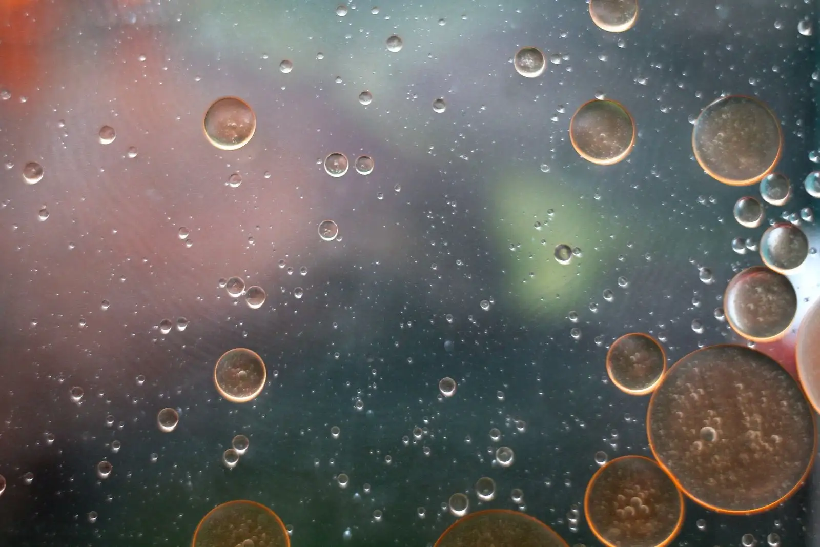 Water-soluble CBD: what the trials actually measure