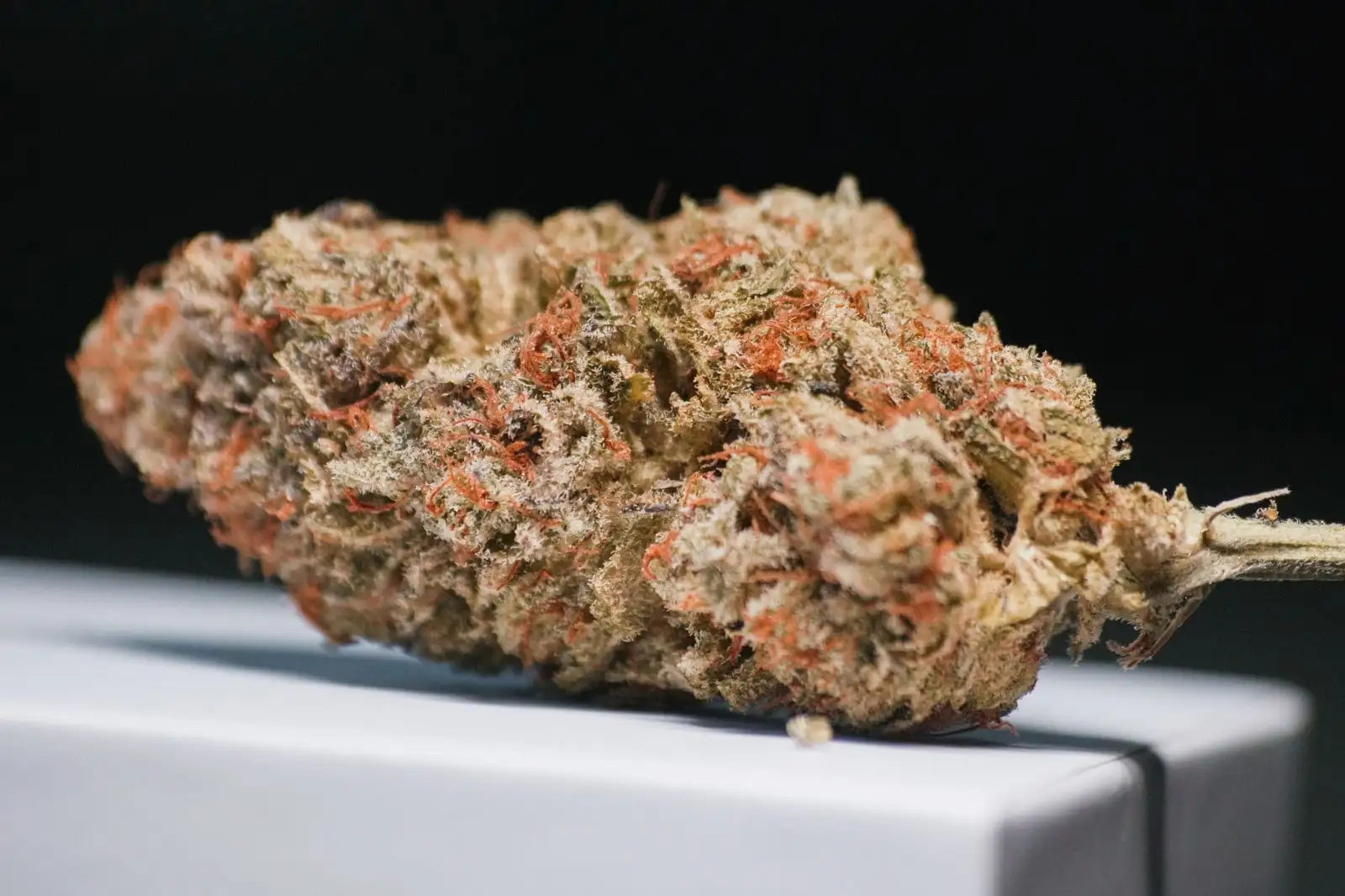 CBG (cannabigerol): definition of the mother cannabinoid