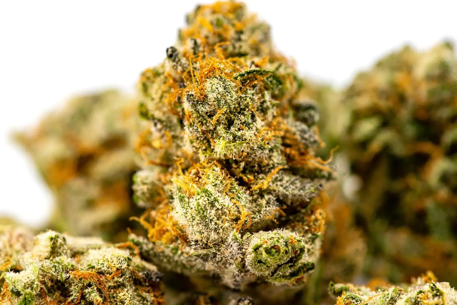 CBG: measured effects, products and precautions in France