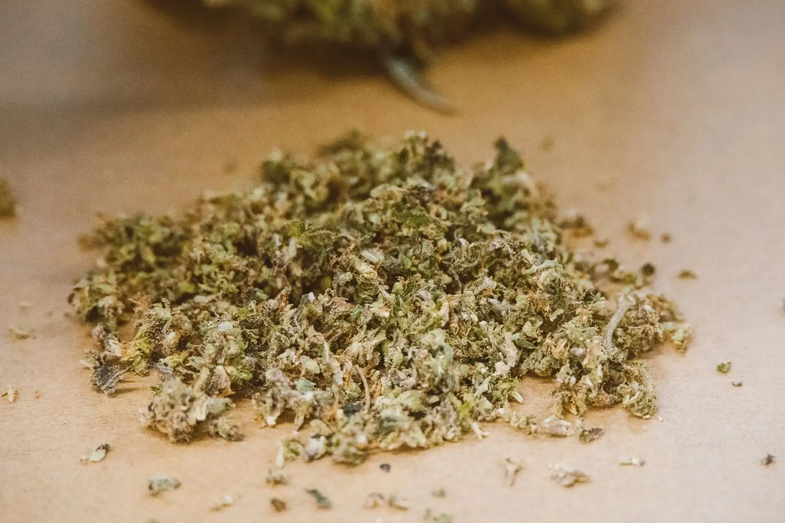 Dried, crumbled hemp flower on brown paper, with the faded tones of plant matter that has aged