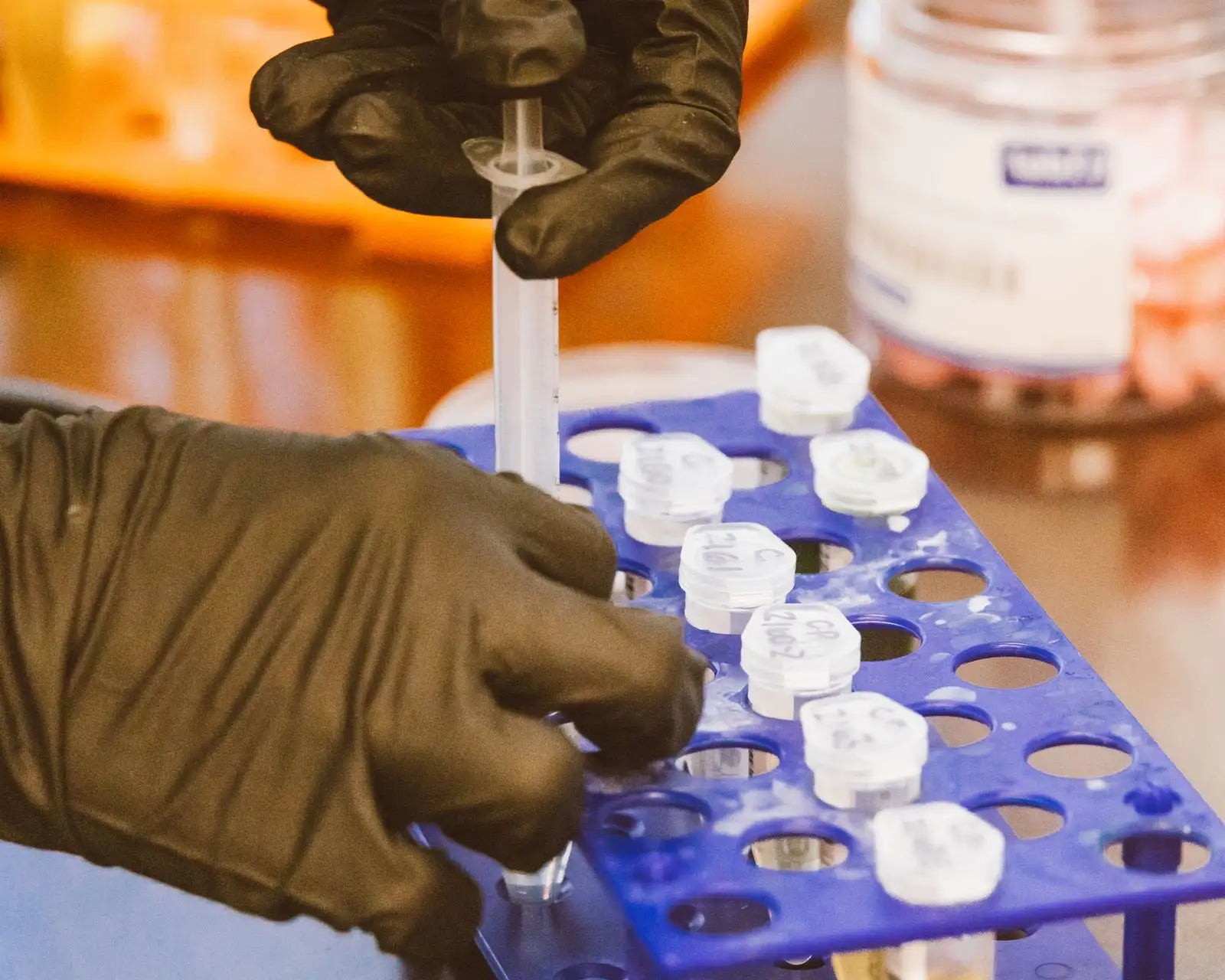 Gloved hands placing samples in a laboratory rack, a preparation step before a chromatography analysis
