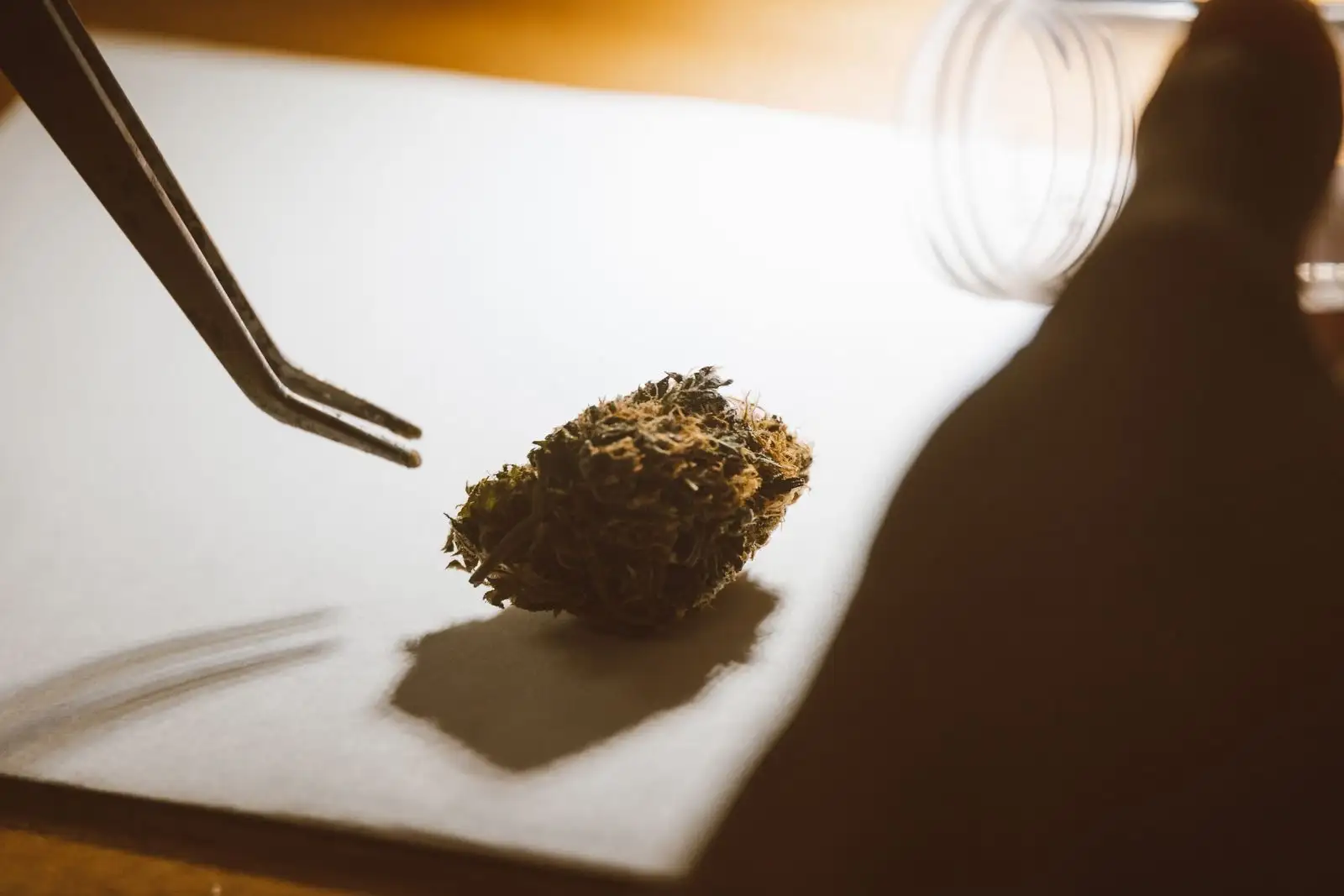 CBD flower or resin: 4 differences measured on two batches