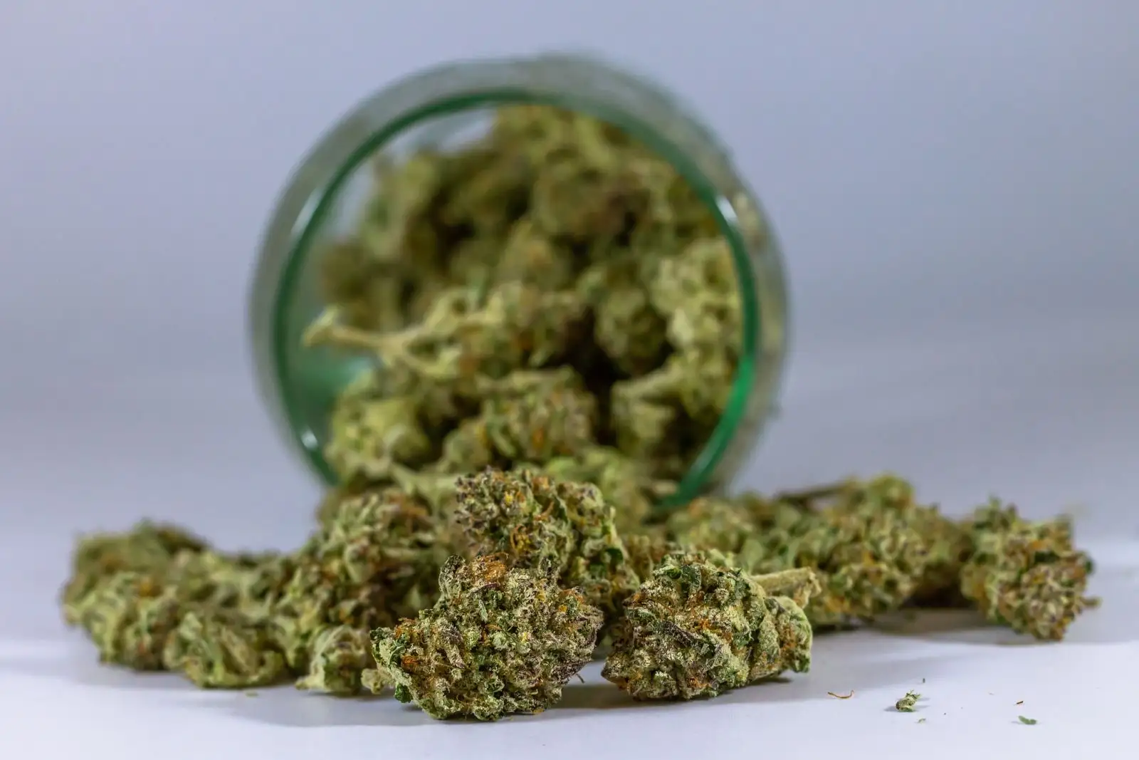CBD flowers by 100 g: €0.99/g, but not the cheapest CBD