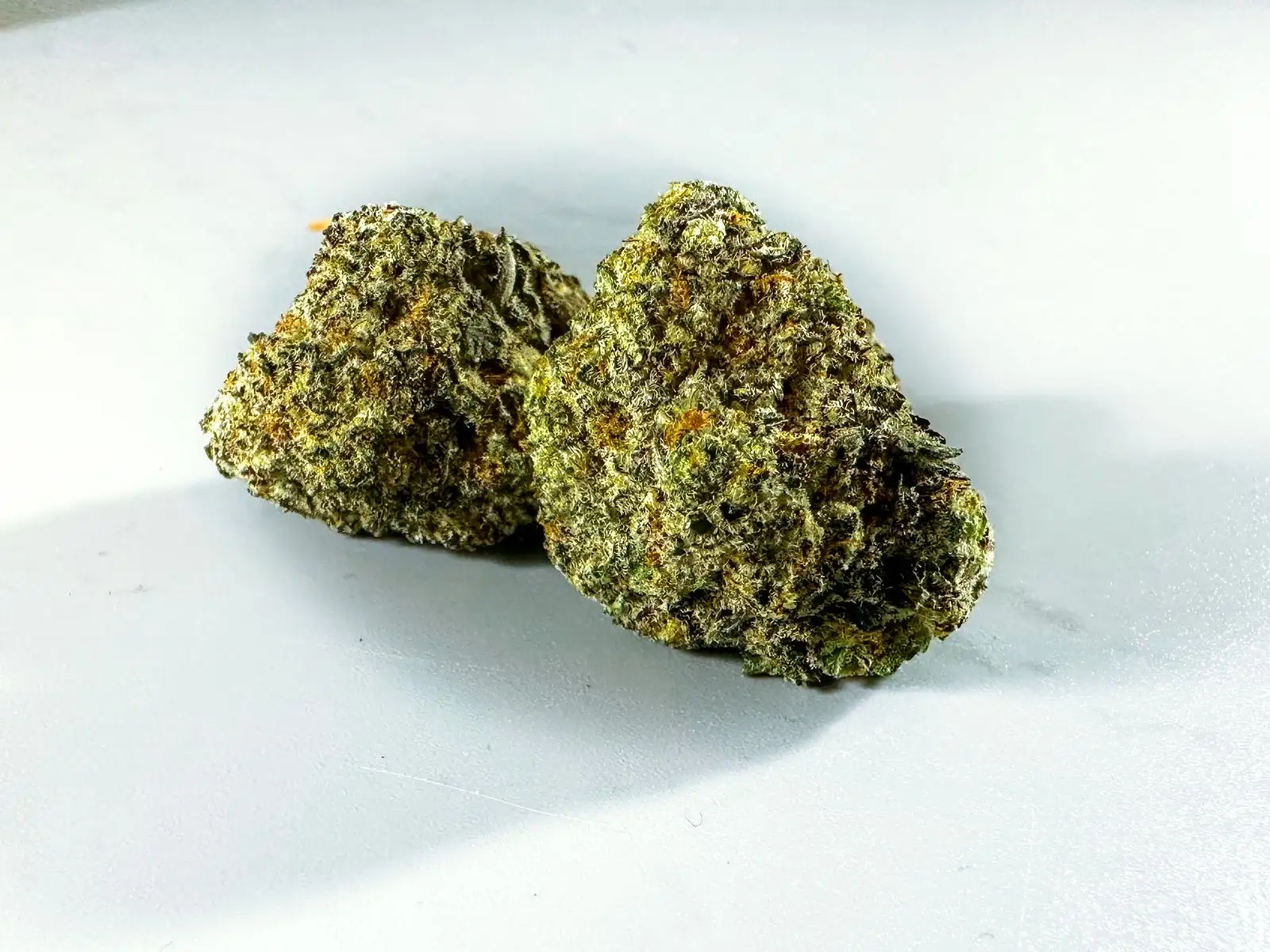 Smoking hemp in France: legal, but not risk-free