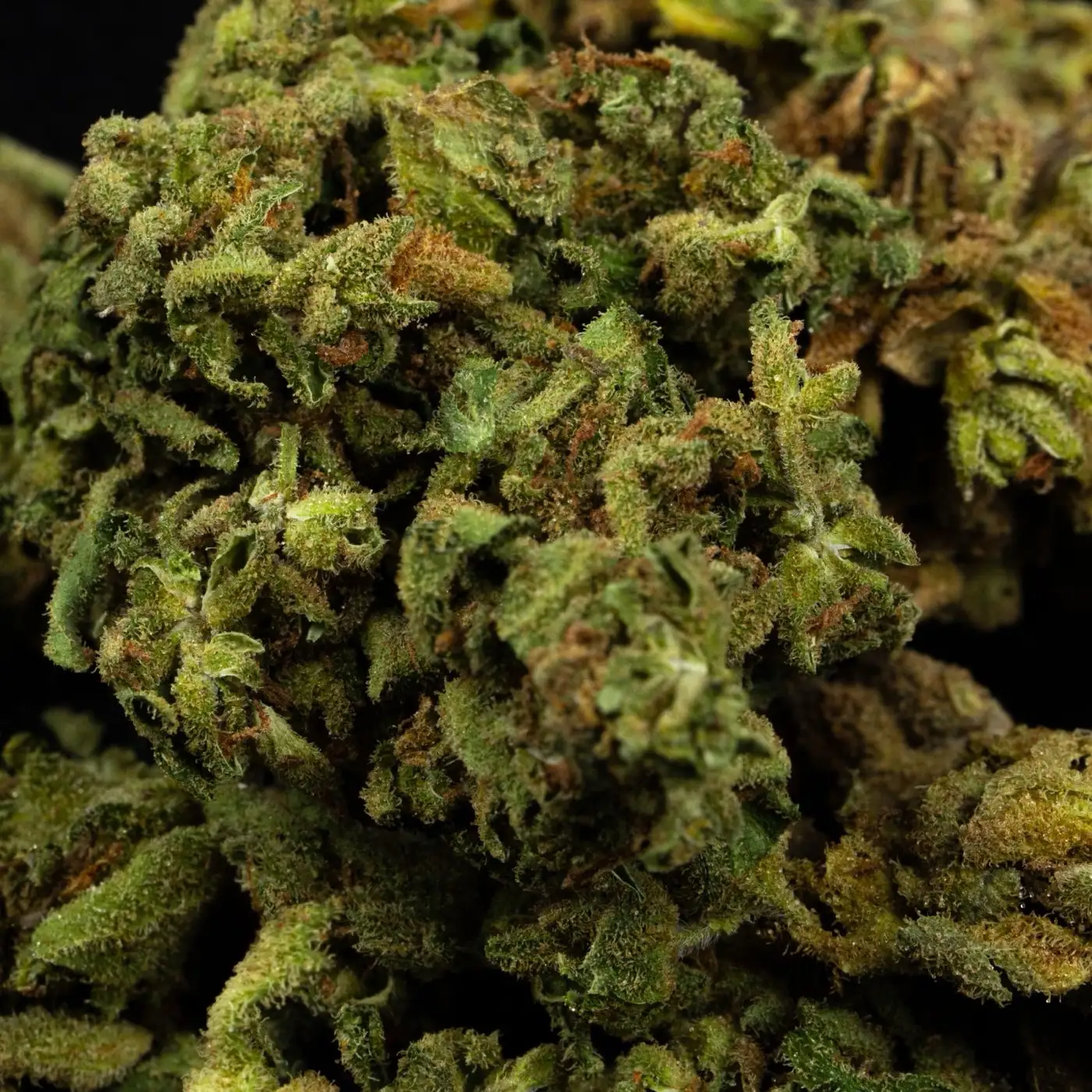 CBD hash too hard or too soft: softening it without damage