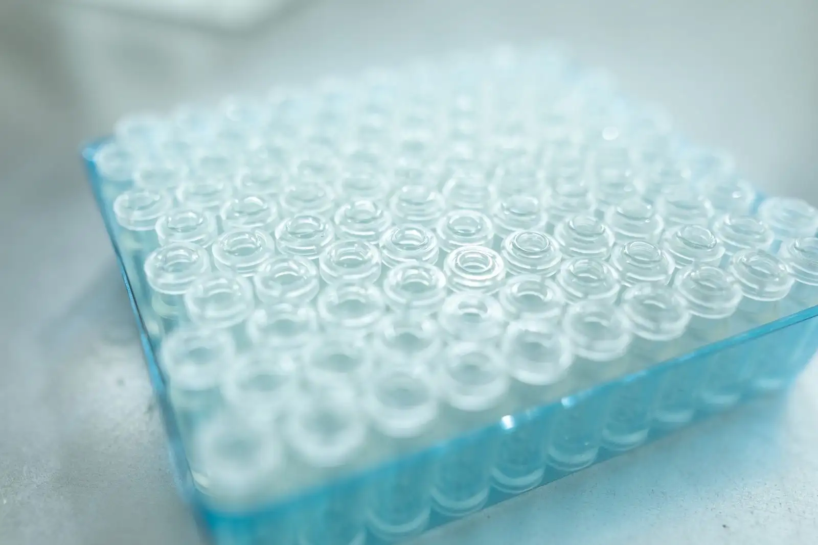 Blue rack filled with empty glass vials in an analytical laboratory