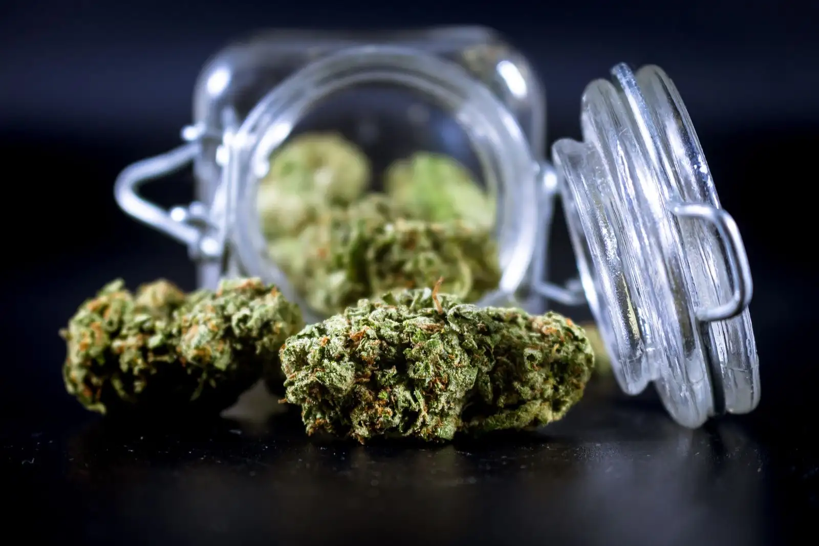 Kush CBD: 5 flowers compared, from 6.9% to 13.5% CBD