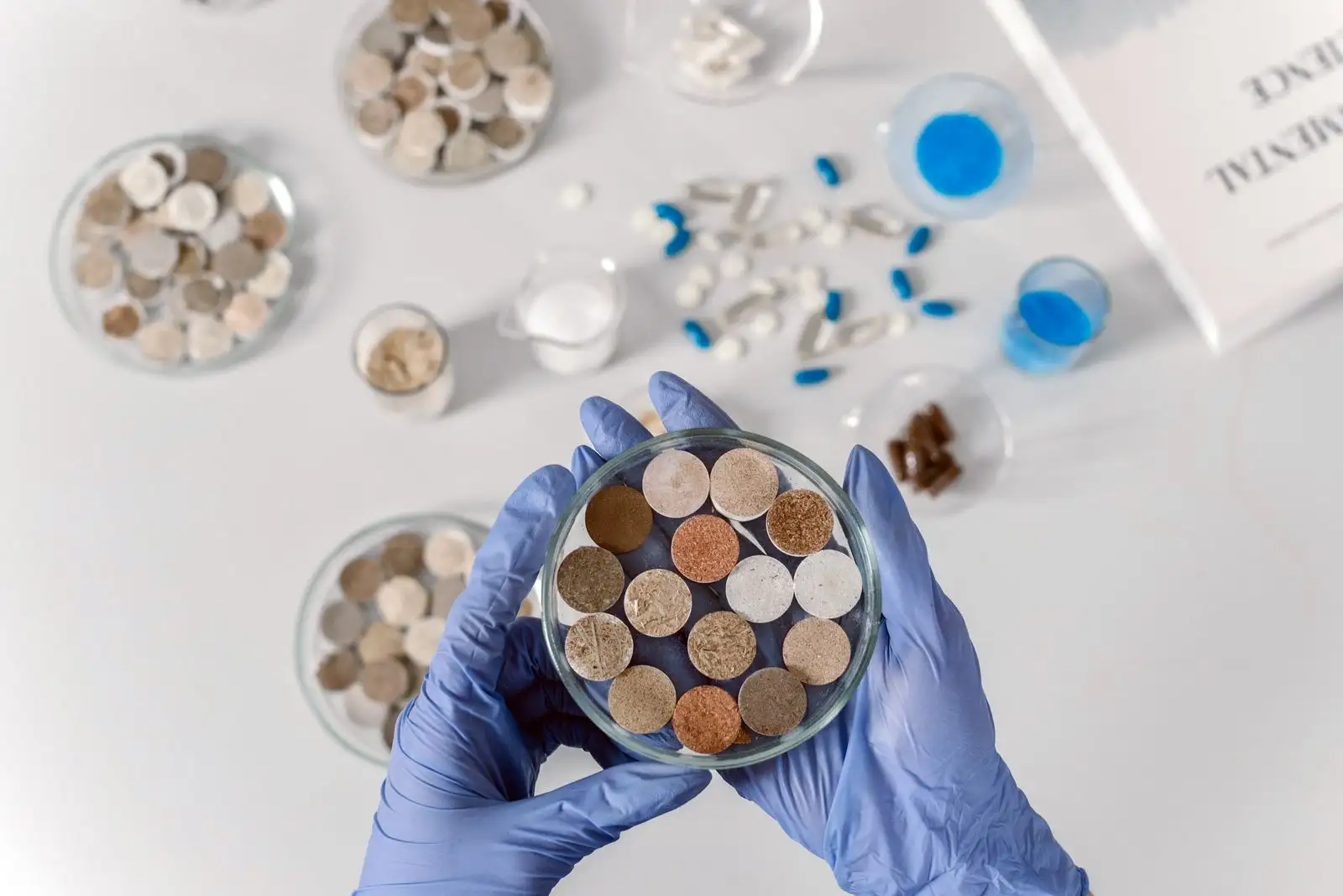 Heavy metals in CBD: what limit for flower or hash?