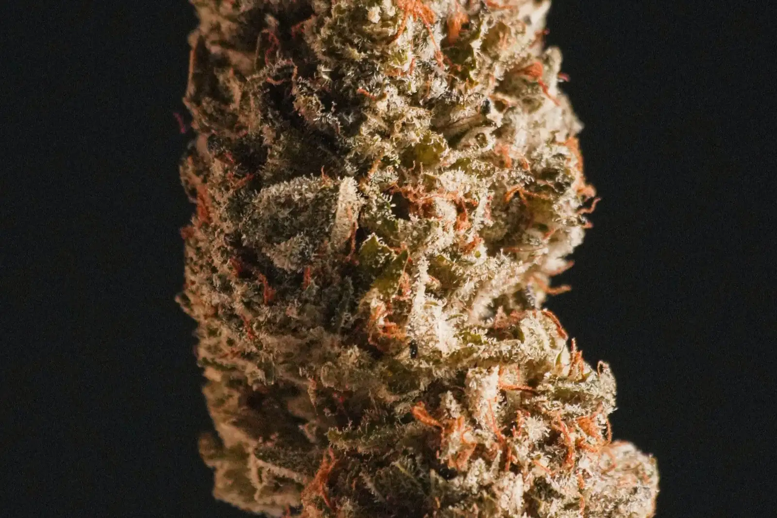 Orange Bud CBD effects: the batch tests at 13.6% CBD