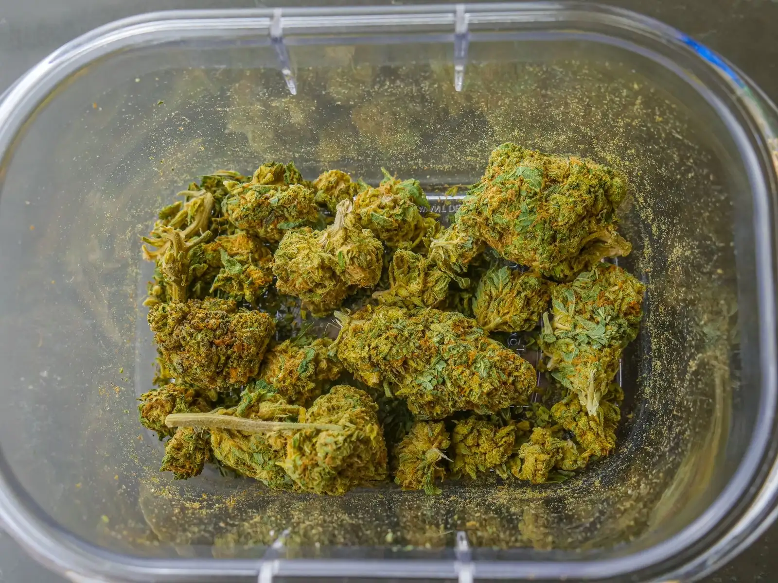 Dried hemp flowers in a clear box, seen from above, with fine trichome dust on the sides