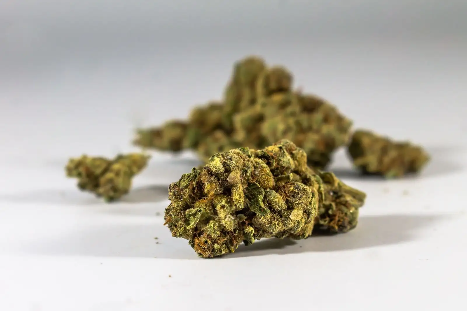 CBD small buds: what small flowers and trim are worth