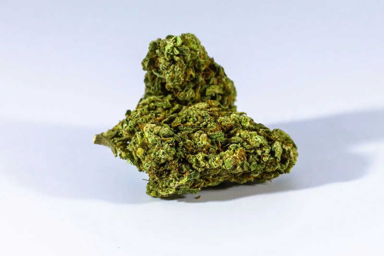 CBD content of flowers: 72 products, from 6.7 to 14.4%