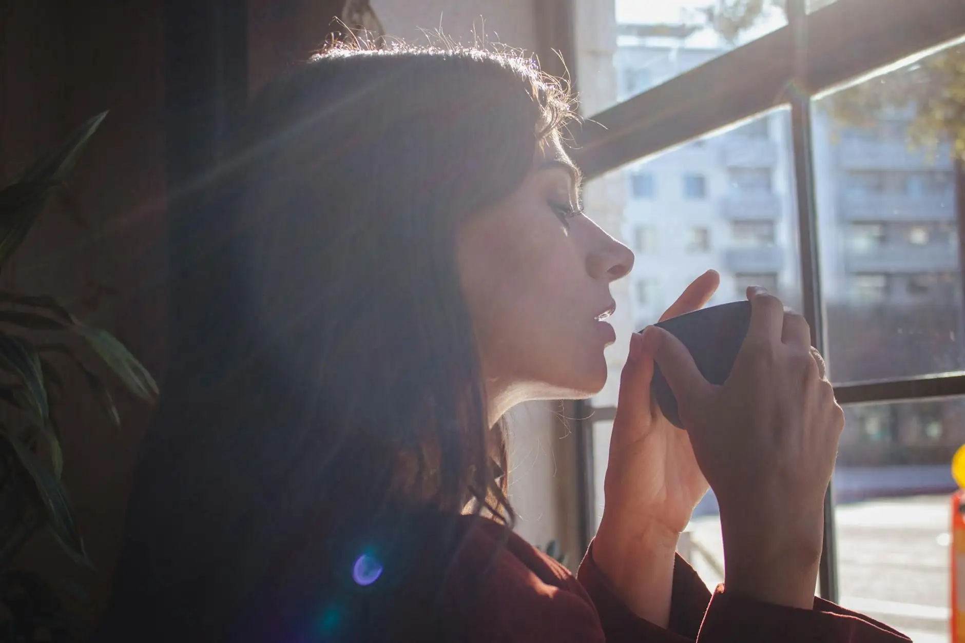 CBD and occasional anxiety: what the science says