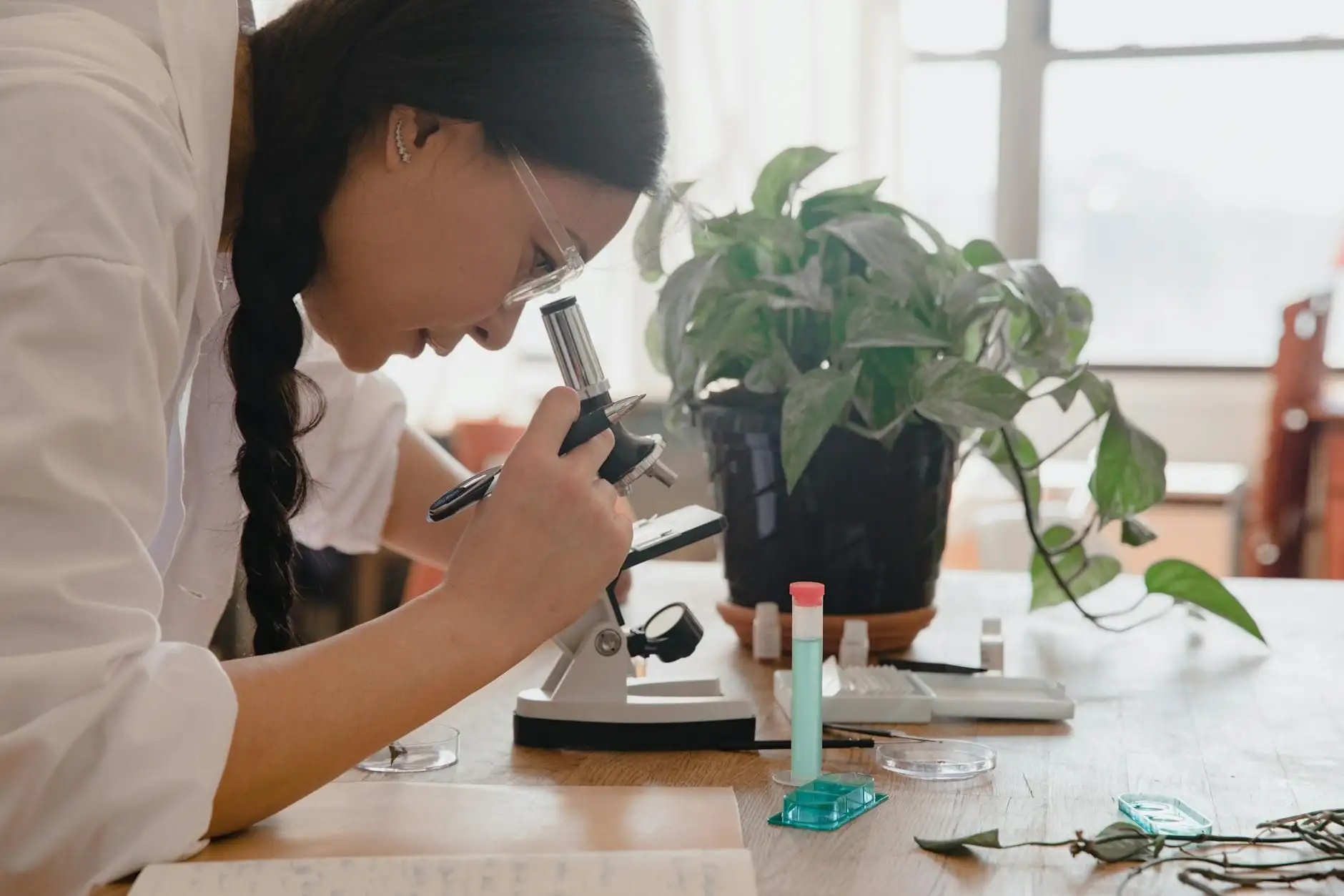 CBG (cannabigerol): a simple definition of a minor cannabinoid