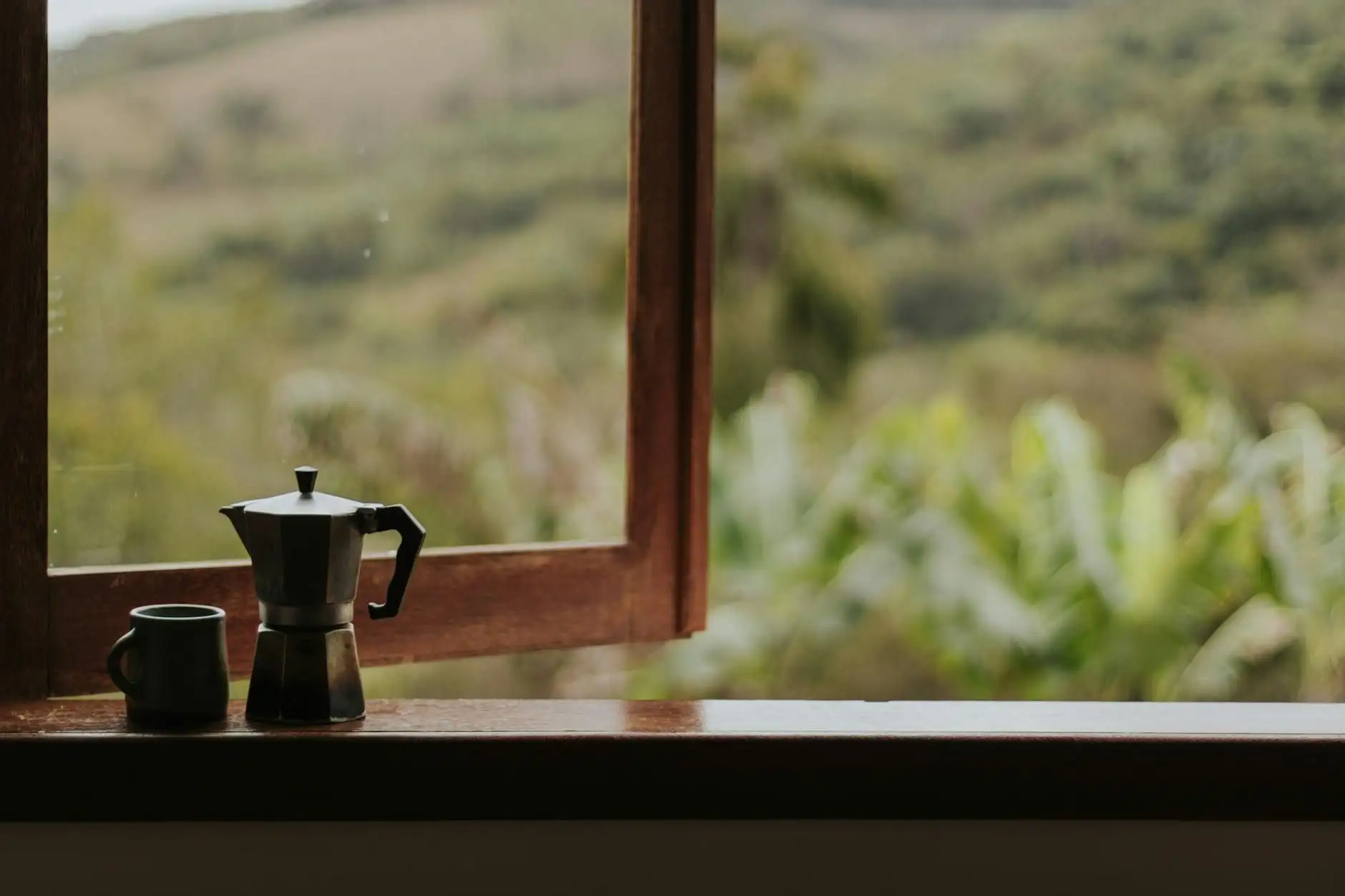How to use CBD: formats and daily rituals