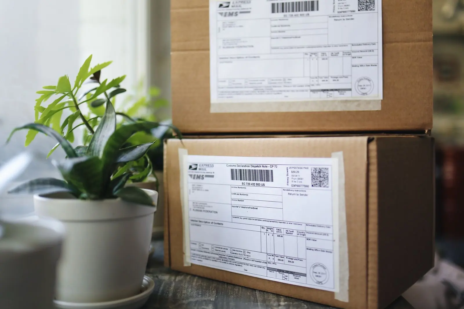 Two cardboard parcels with customs declarations, next to a green plant
