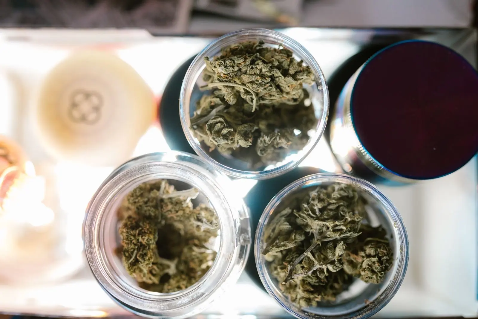 Dried hemp flowers in three open glass jars, seen from above