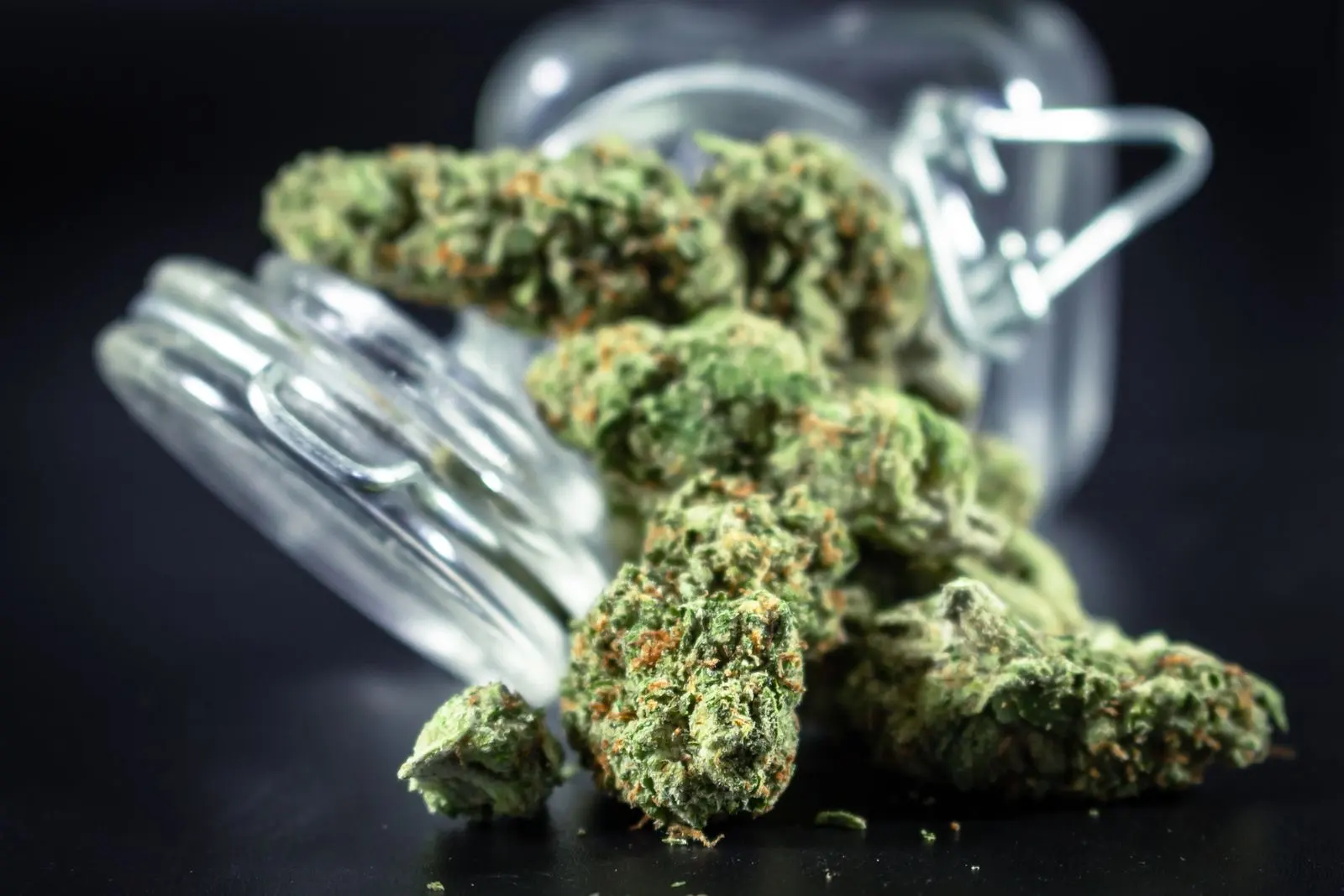 Dried hemp buds spilling out of a tipped-over glass jar, on a dark background