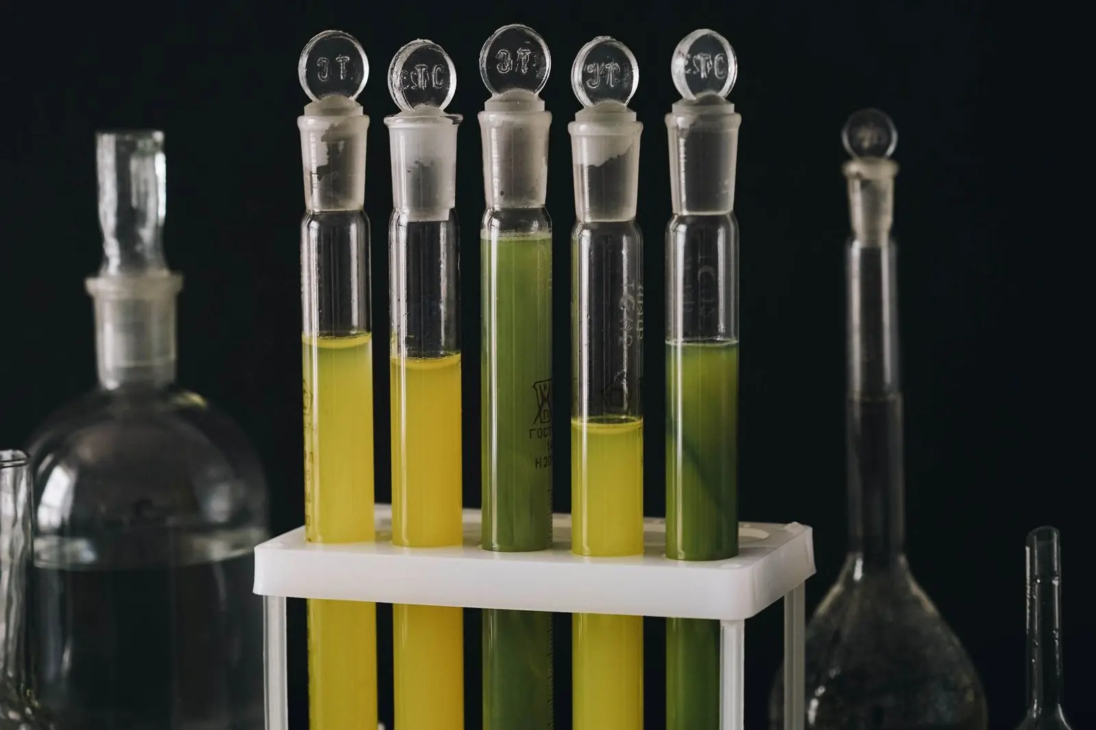 Stoppered test tubes holding yellow and green liquids in a rack, with a glass flask and bottle on a black background
