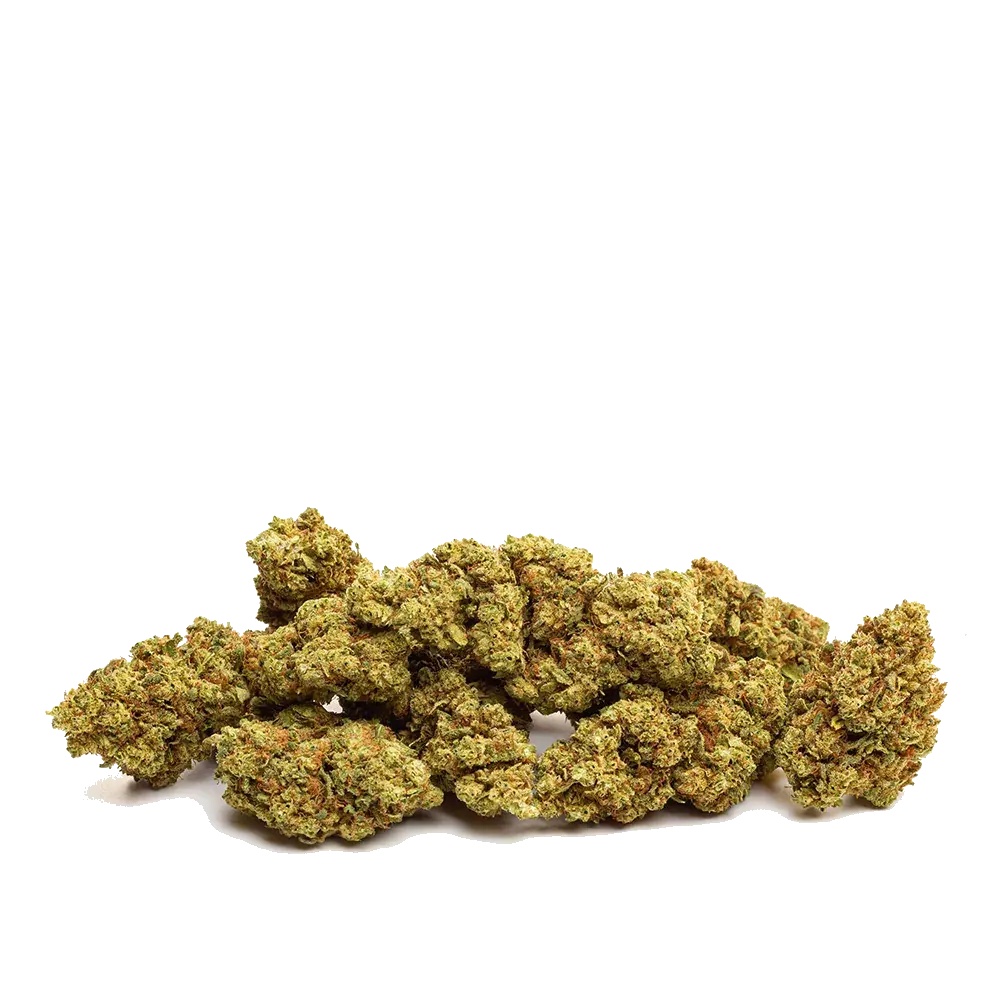 Biscotti - miniature 3