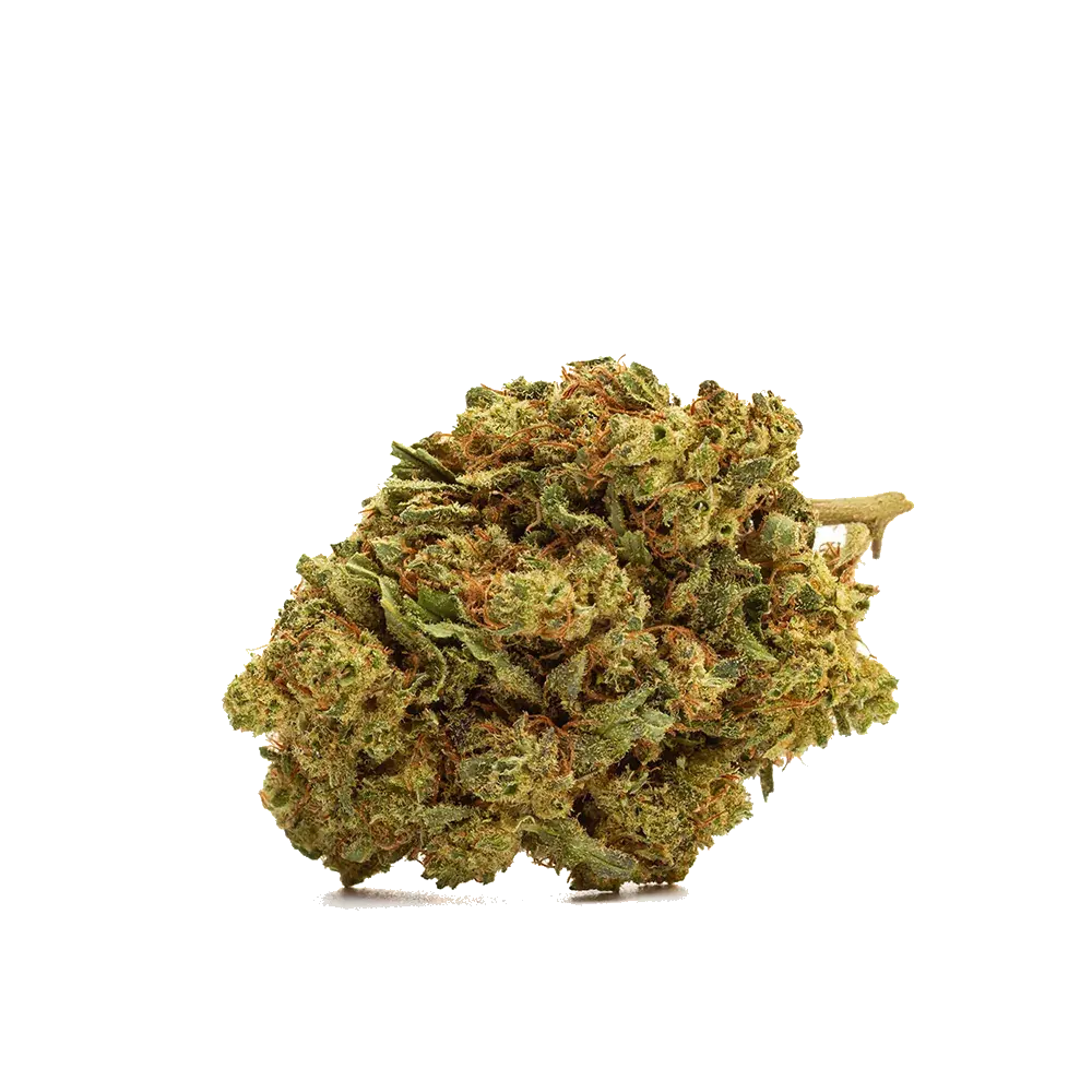 Cereal Milk - miniature 2