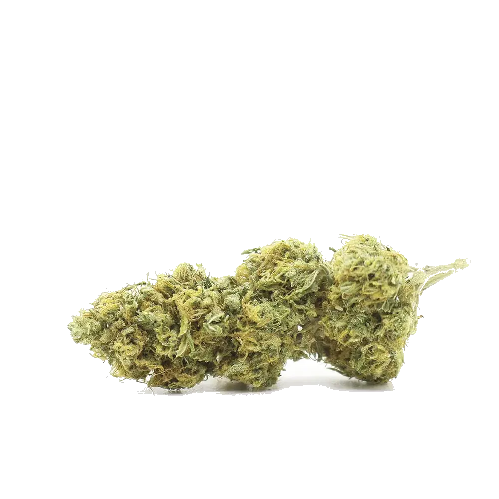 Lemon Cheese Weed