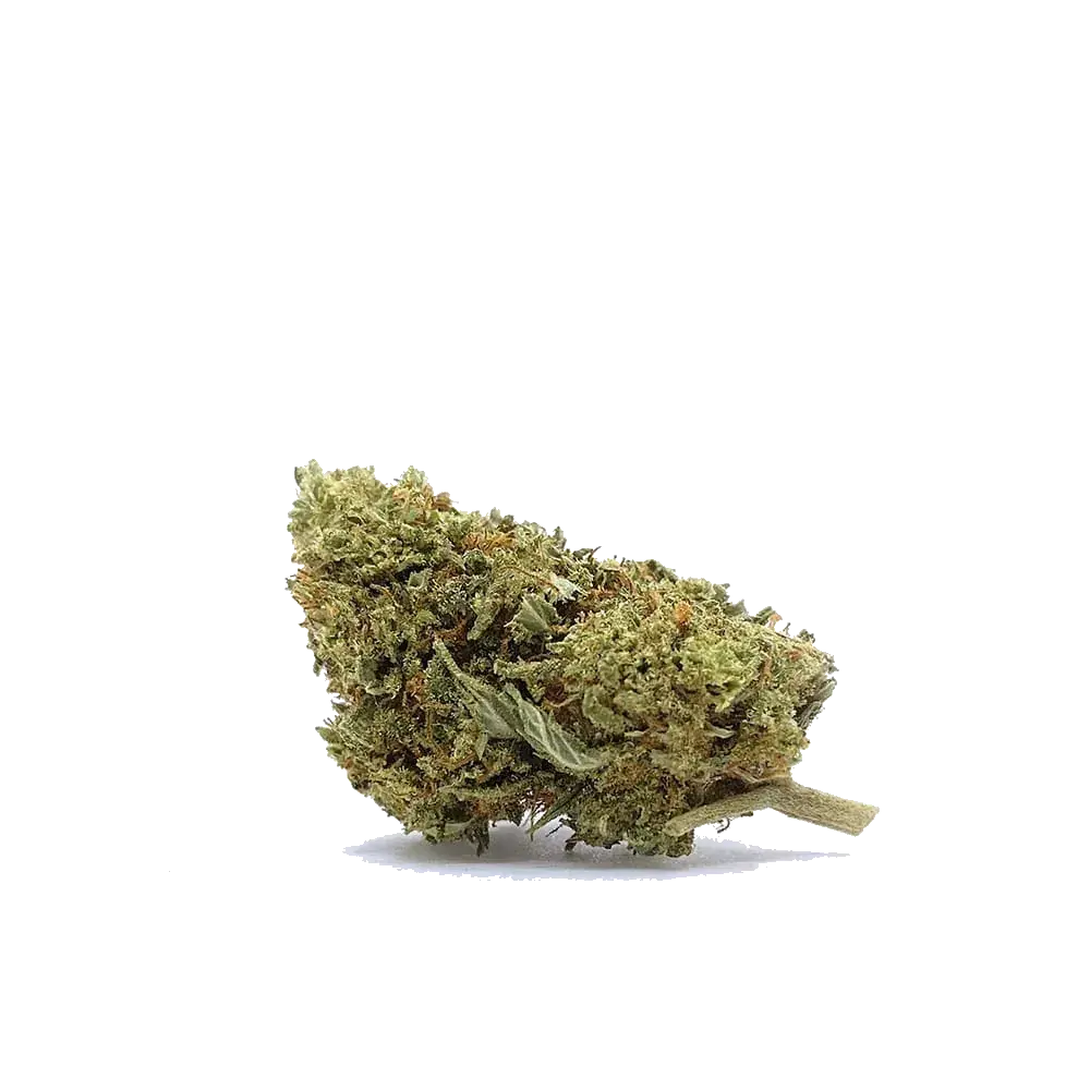 Hippie Shit - miniature 2