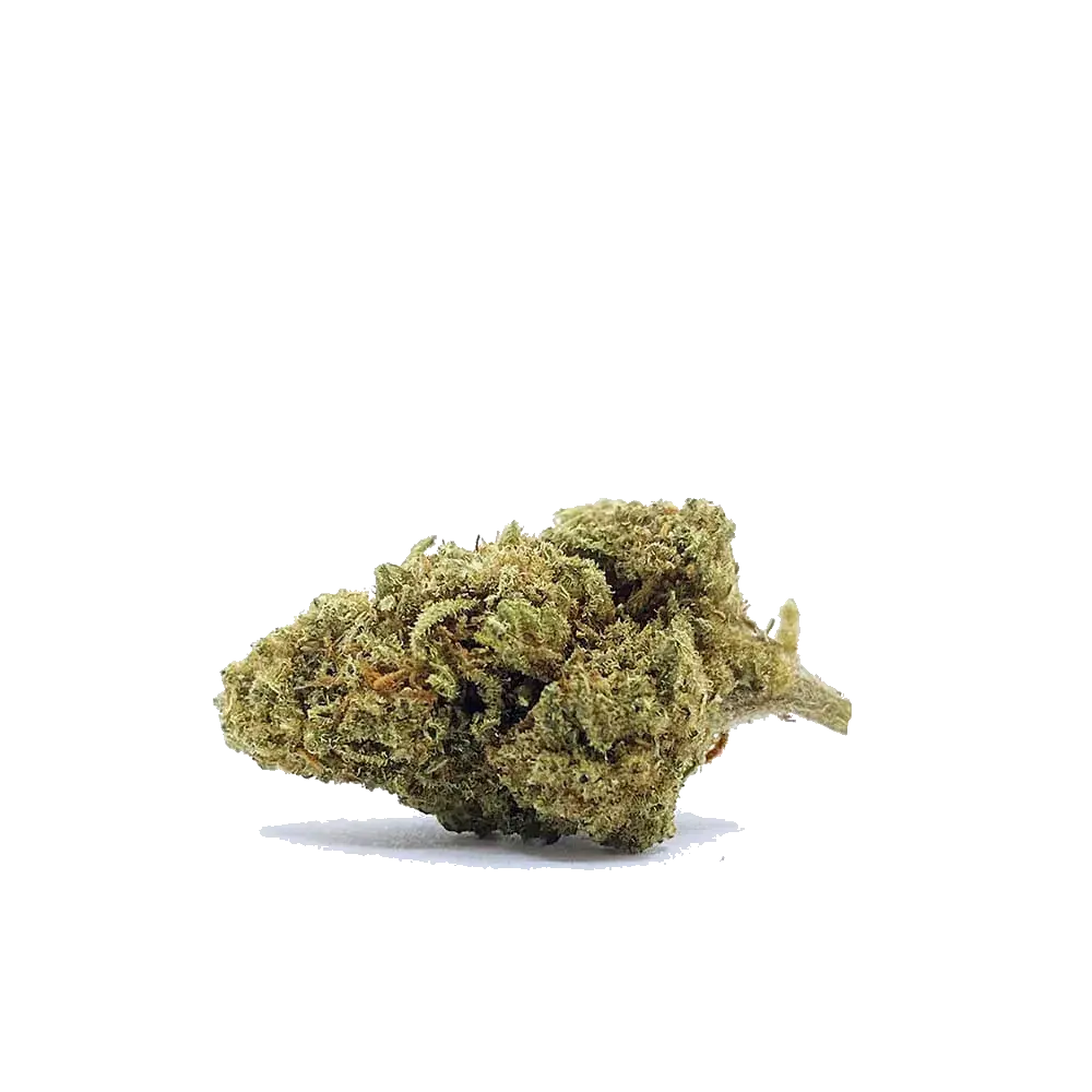 Hippie Shit - miniature 3