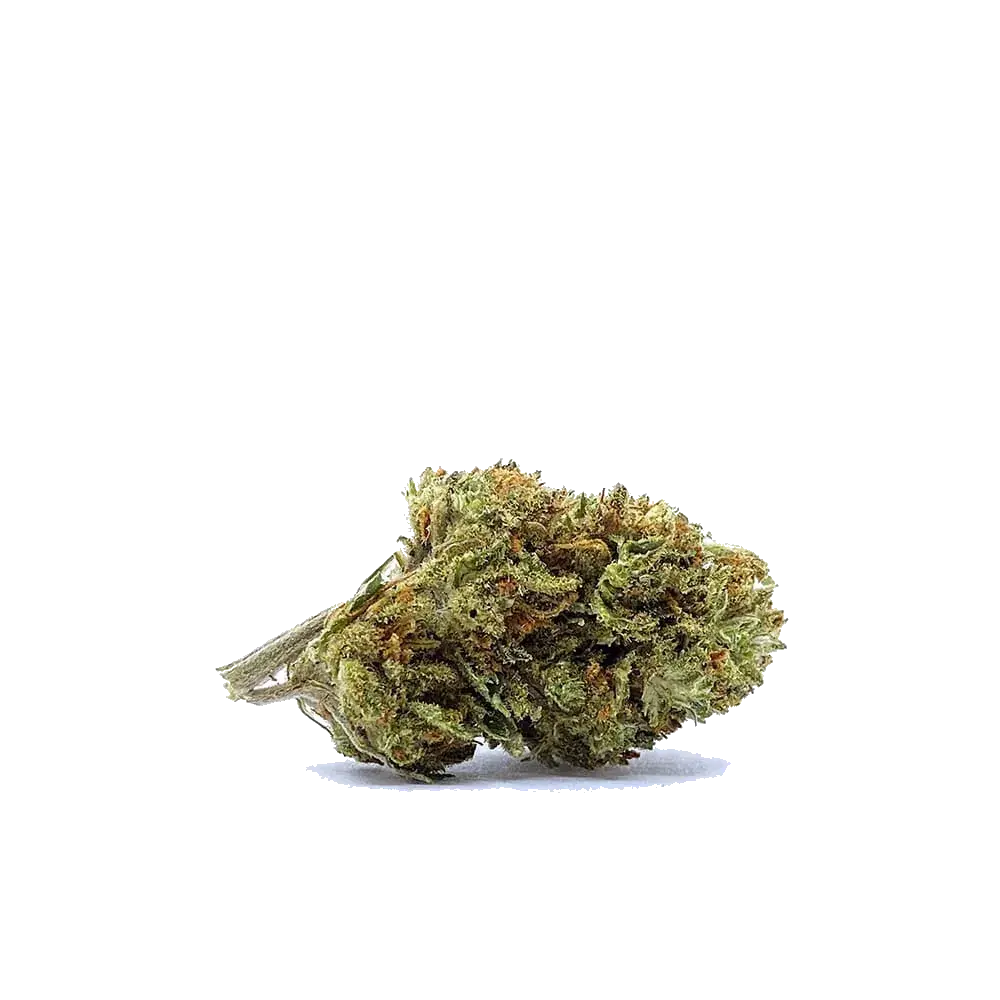 Hippie Shit - miniature 5