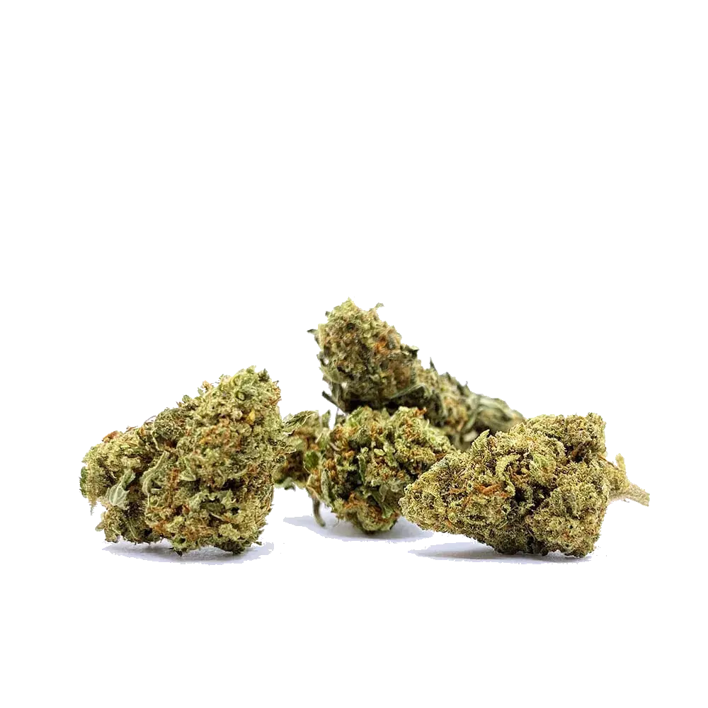 Hippie Shit - miniature 4