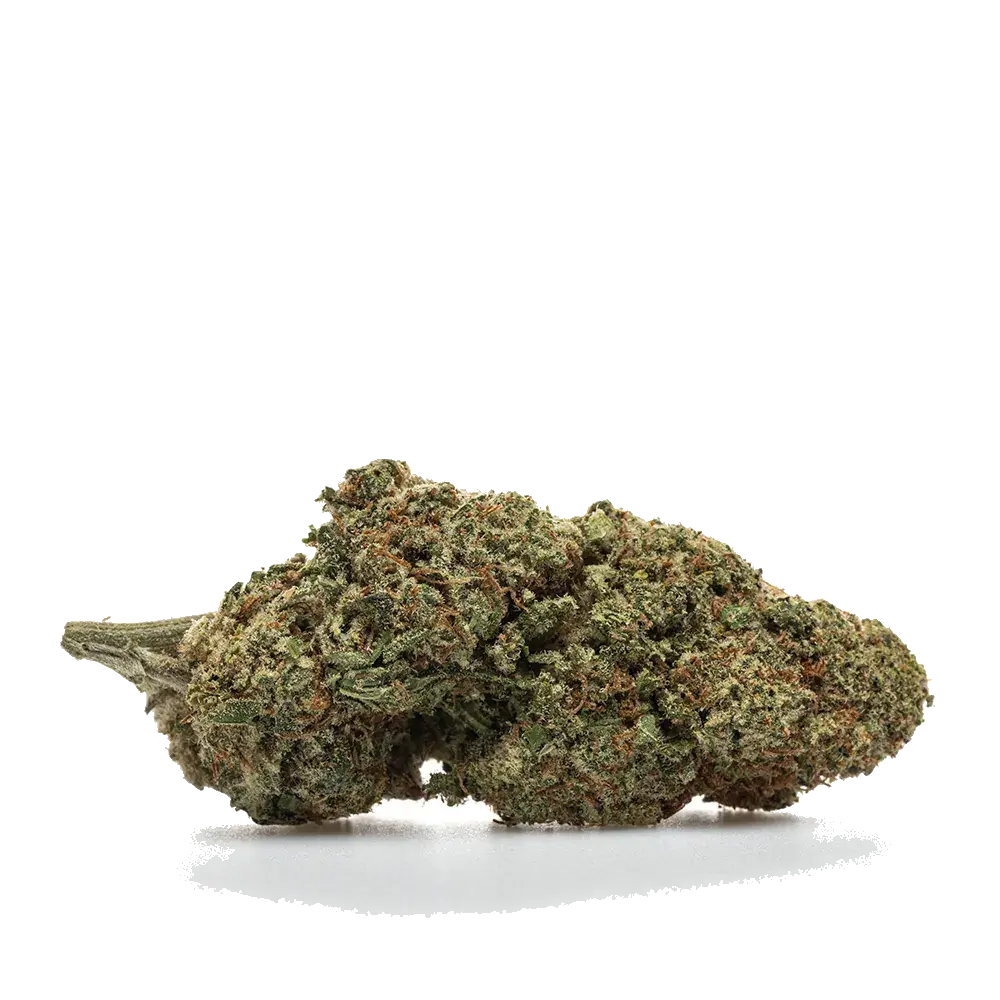 Alien Og - miniature 2