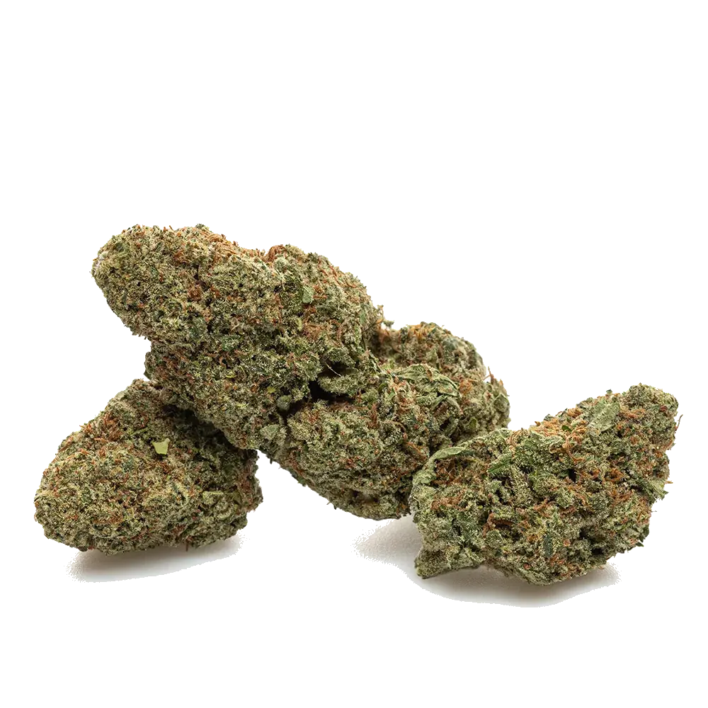 Alien Og - miniature 3