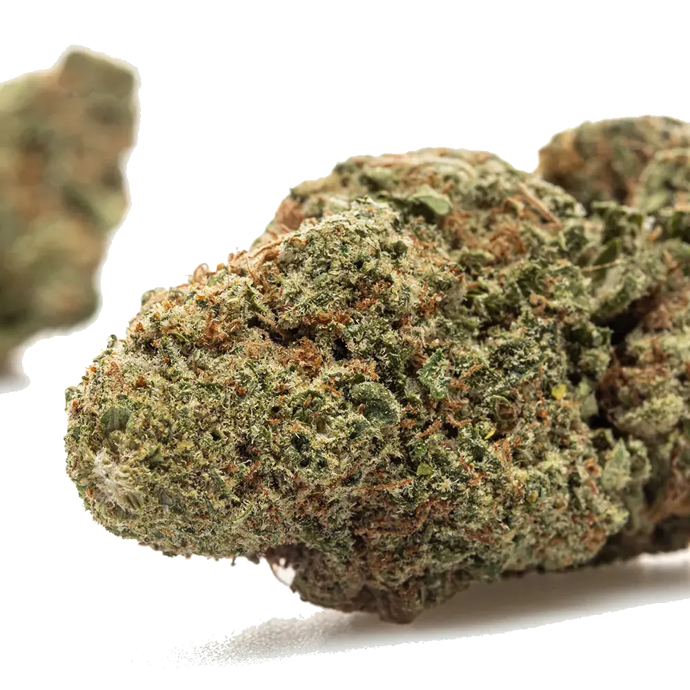 Alien Og - miniature 4