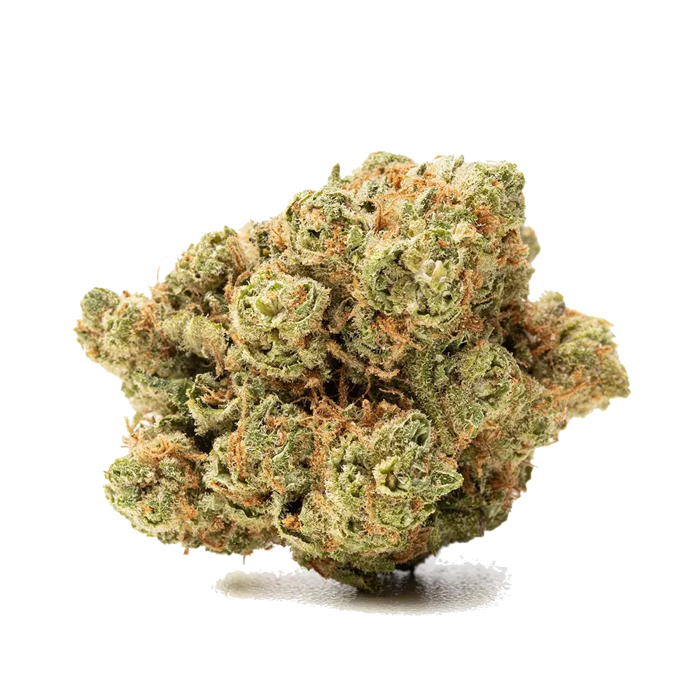 Amnesia Haze - miniature 4