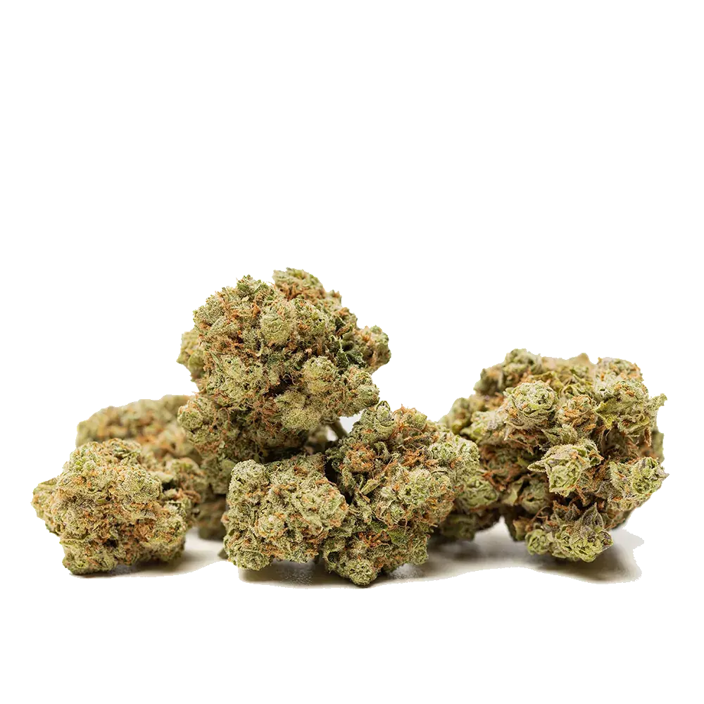 Amnesia Haze - miniature 3