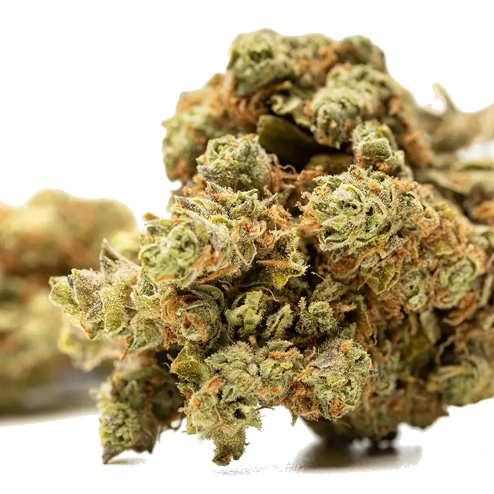 Amnesia Haze - miniature 2