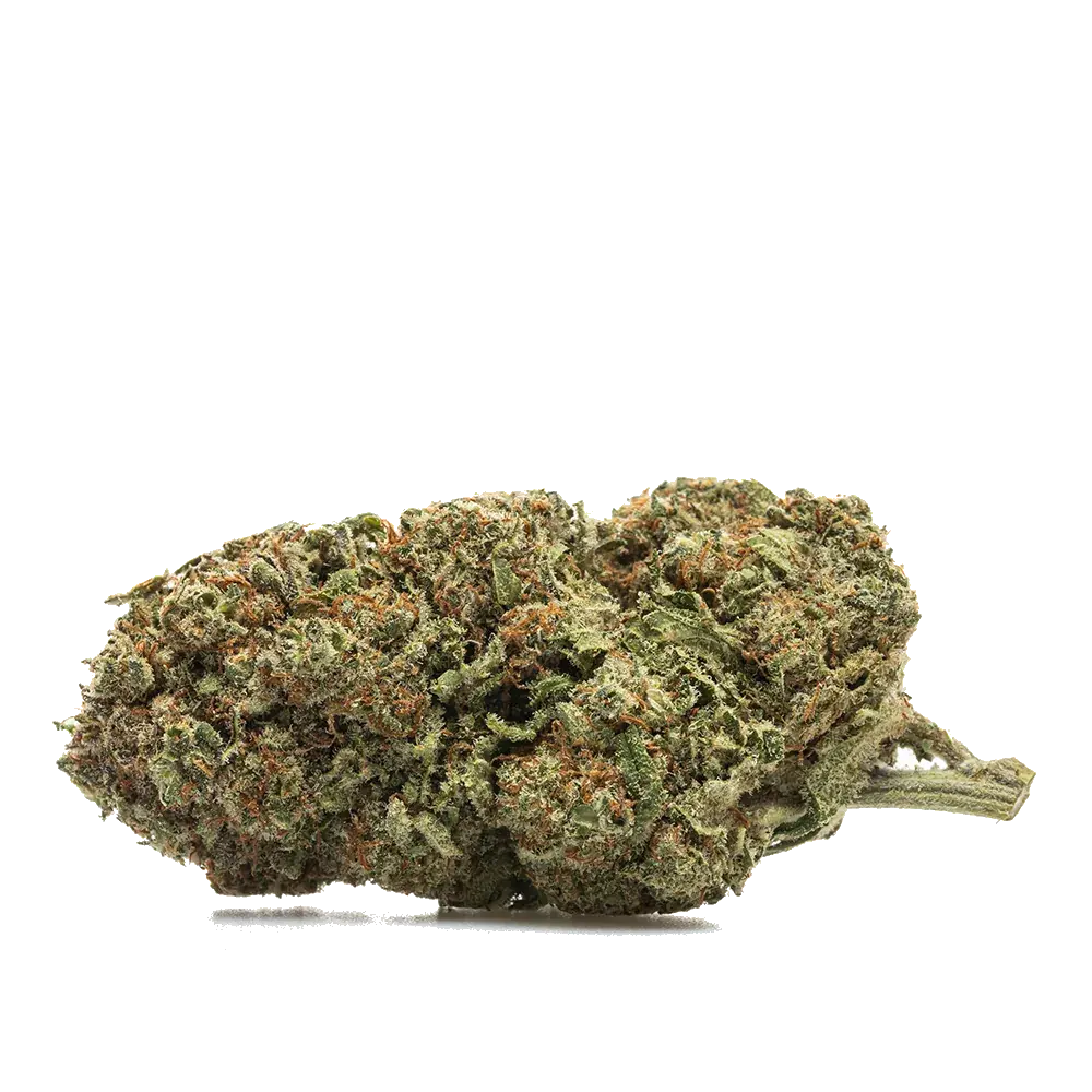 Blueberry