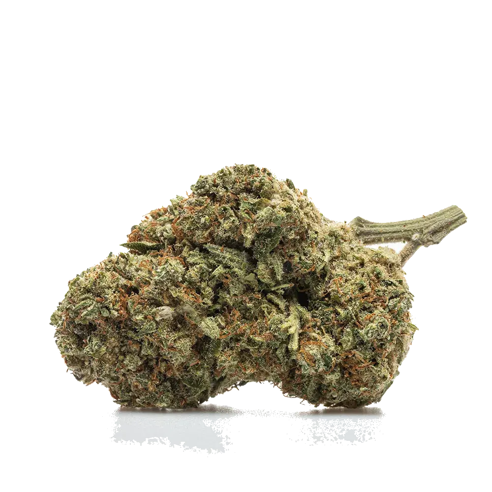 Blueberry - miniature 2