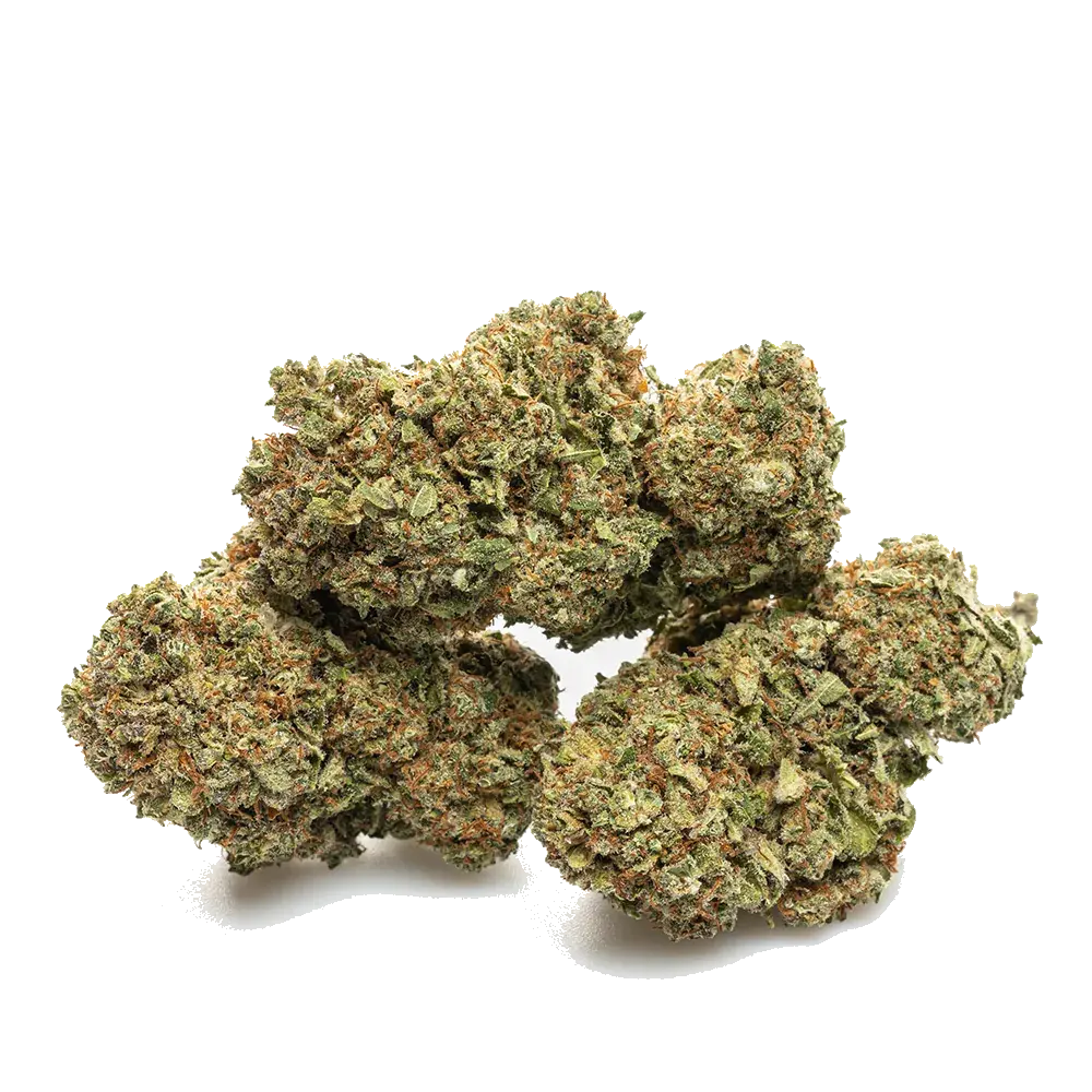 Blueberry - miniature 4