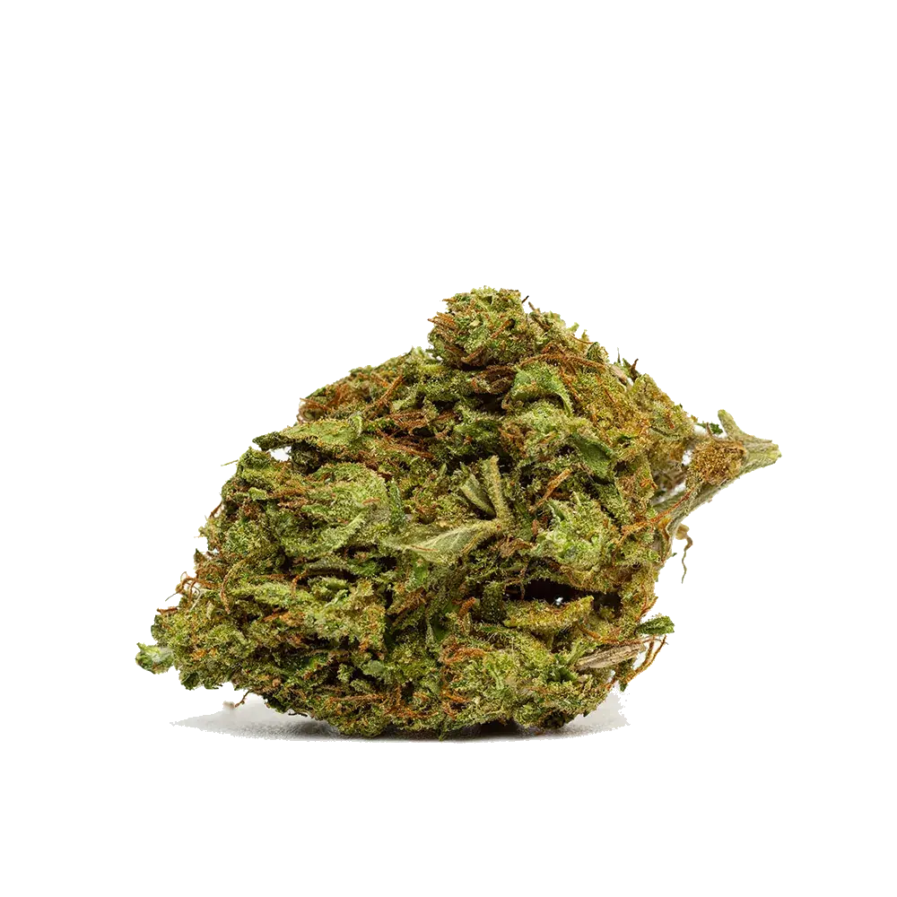 Bubble Gum - miniature 2