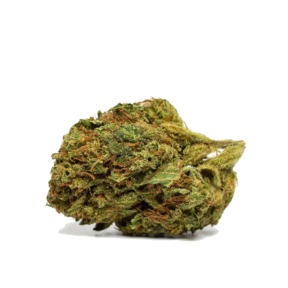 Bubble Gum