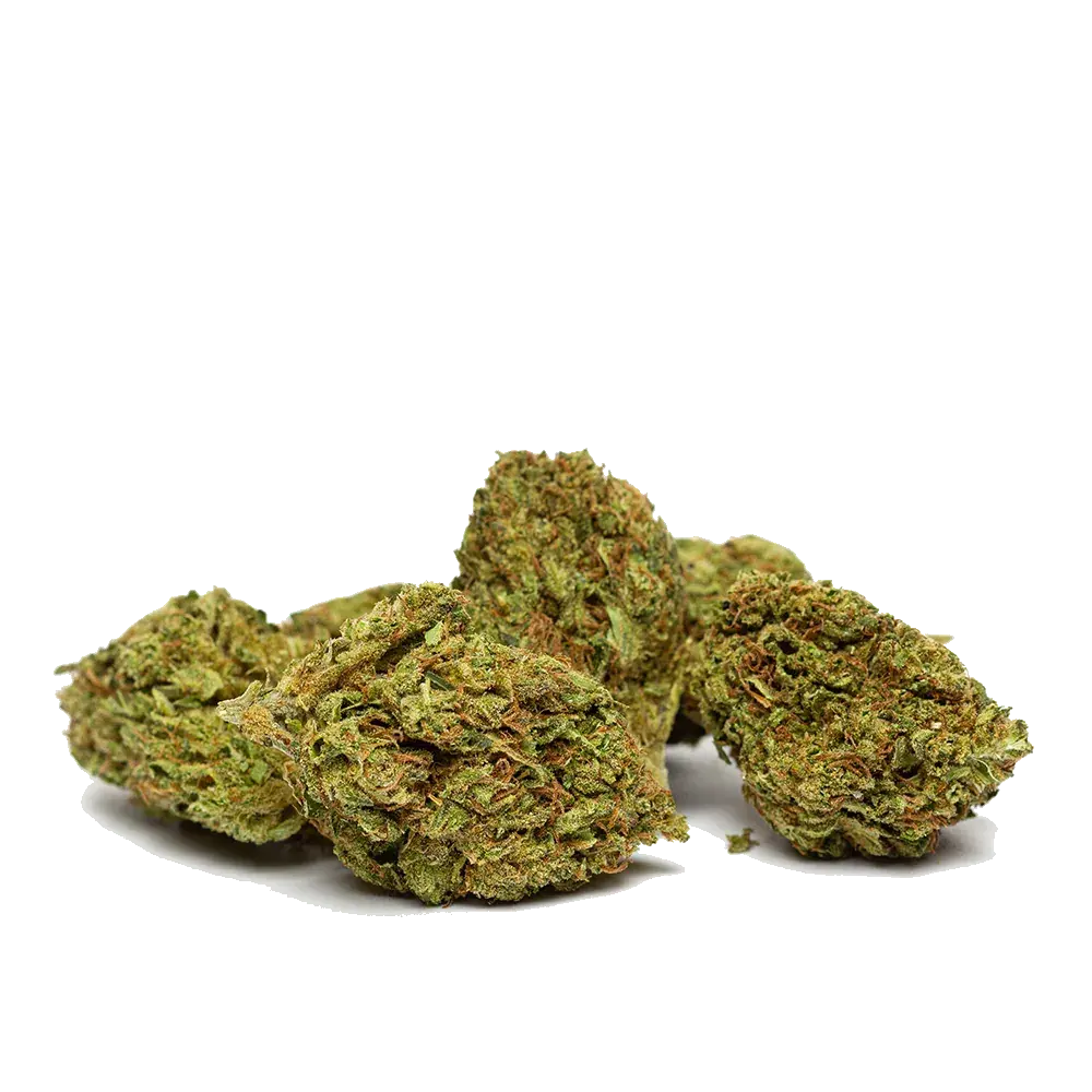 Bubble Gum - miniature 3