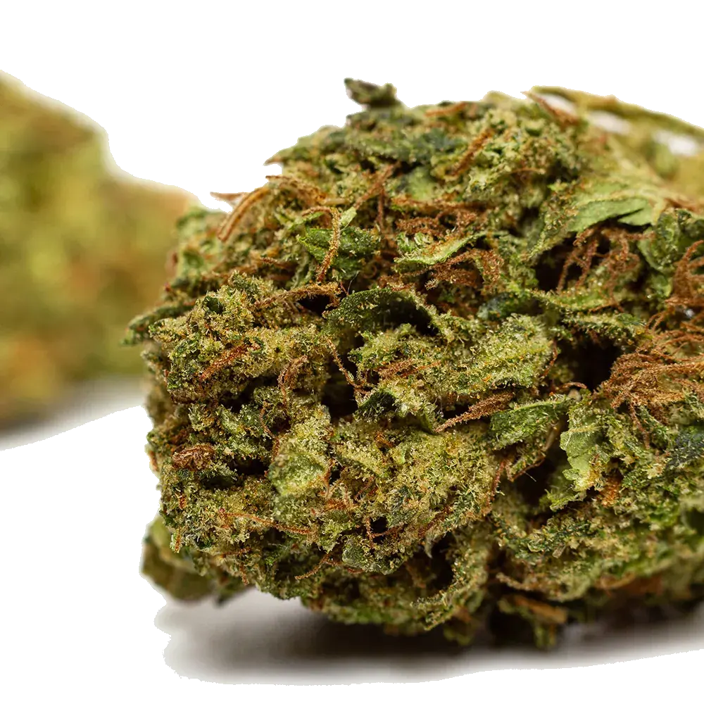 Bubble Gum - miniature 4