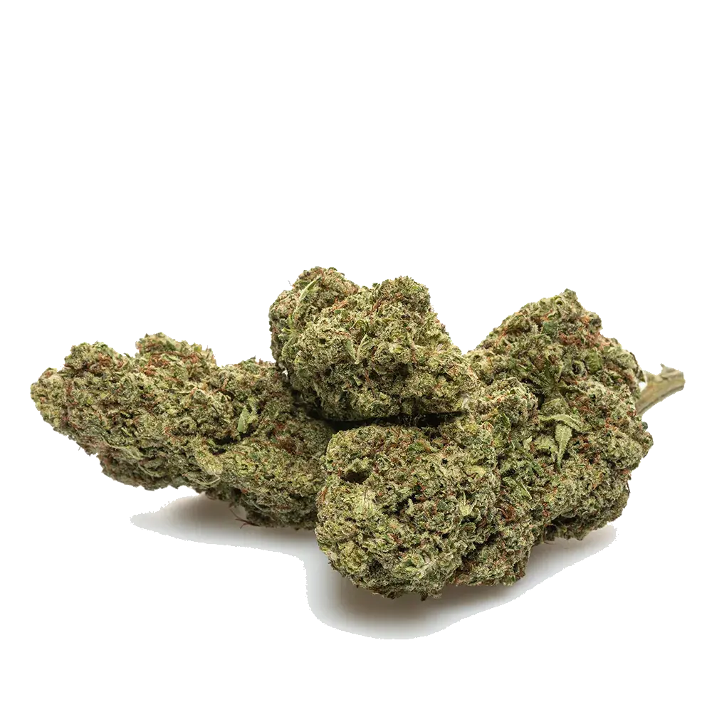Bubble Gum Hydro - miniature 4