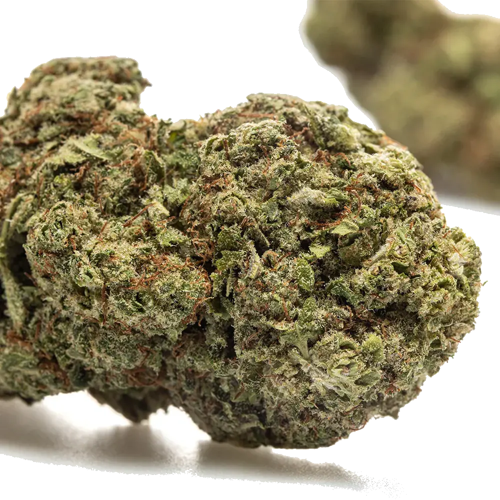 Bubble Gum Hydro - miniature 3