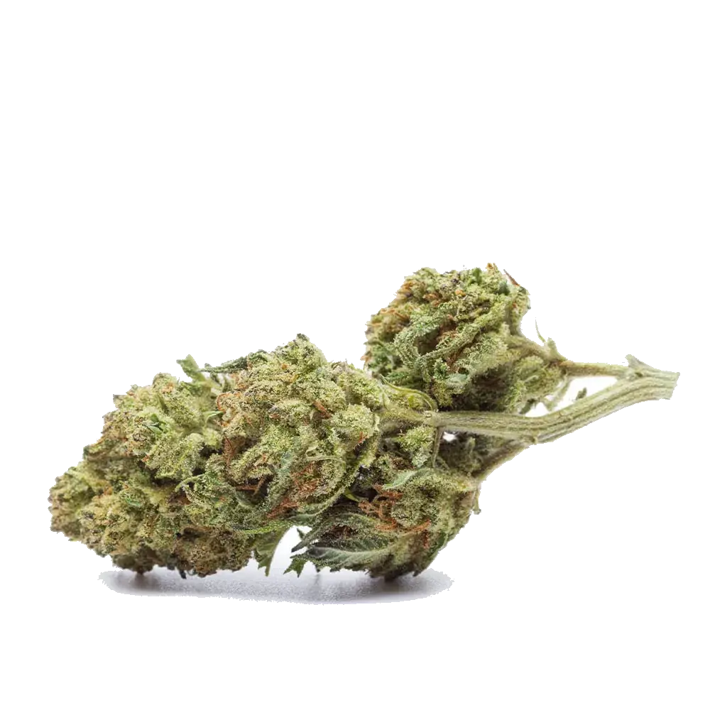 Durban Poison - miniature 2